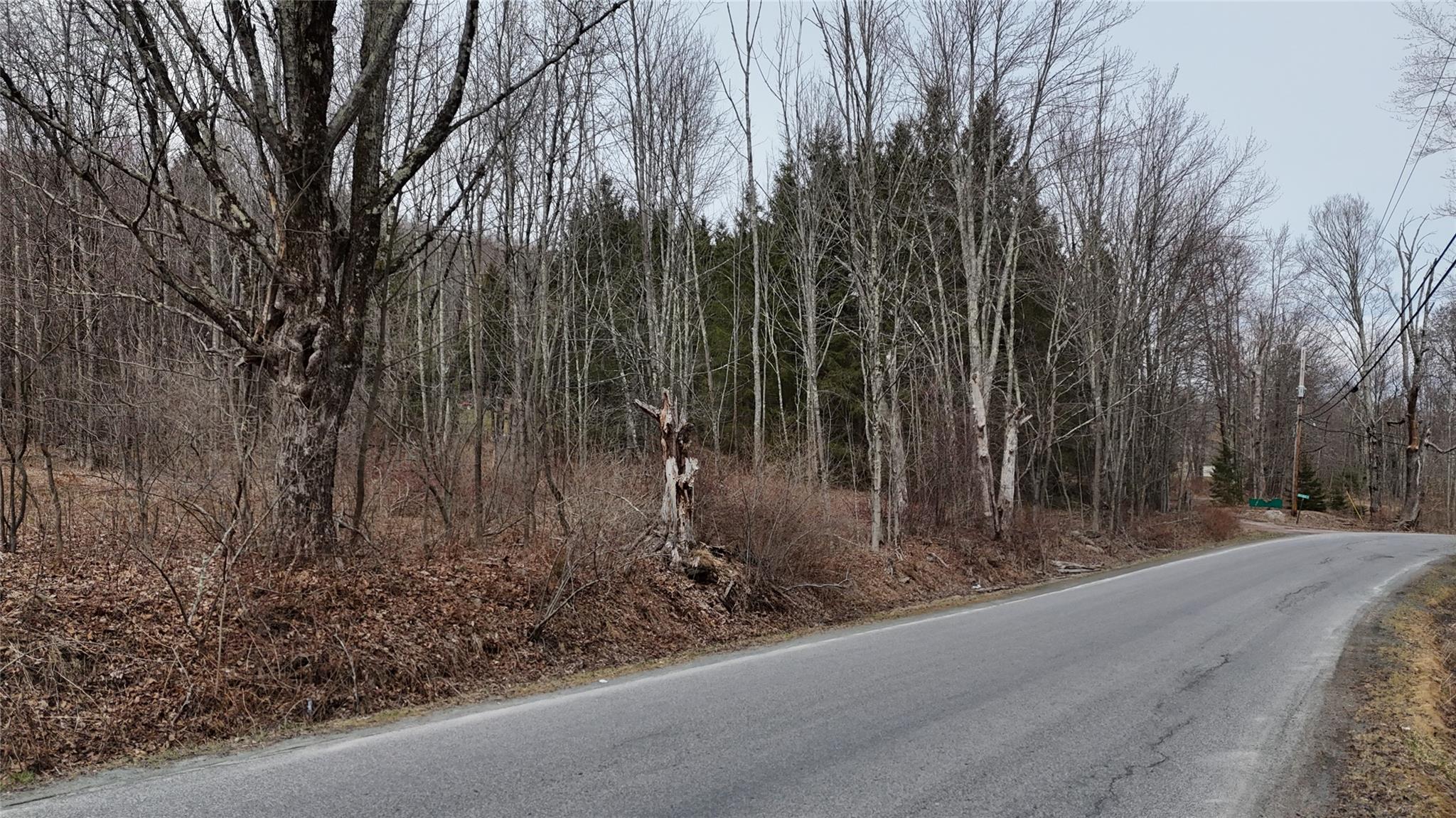 Hasbrouck A Road Fallsburg, NY 12733 - Photo 9 of 10 a view of a backyard of the house