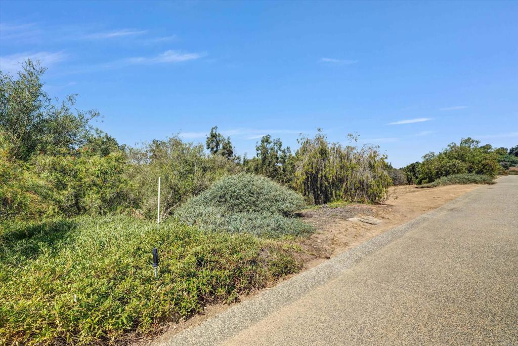 Colina Fuerte Rancho Santa Fe, CA 92067 - Photo 10 of 15 a view of a yard with a tree