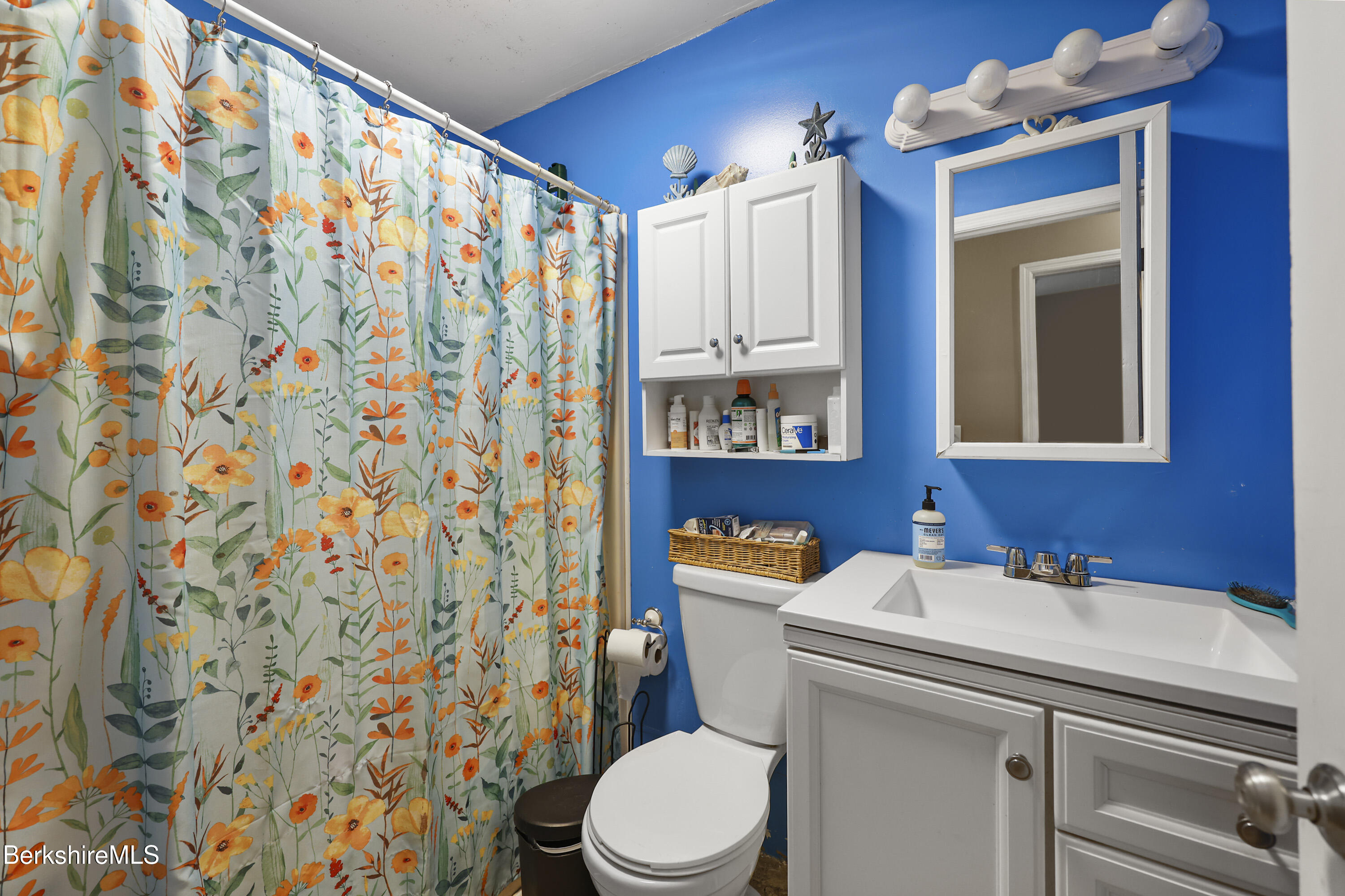 1592 County Road Sheffield, MA 01230 - Photo 23 of 32 a bathroom with a sink a toilet and shower curtain