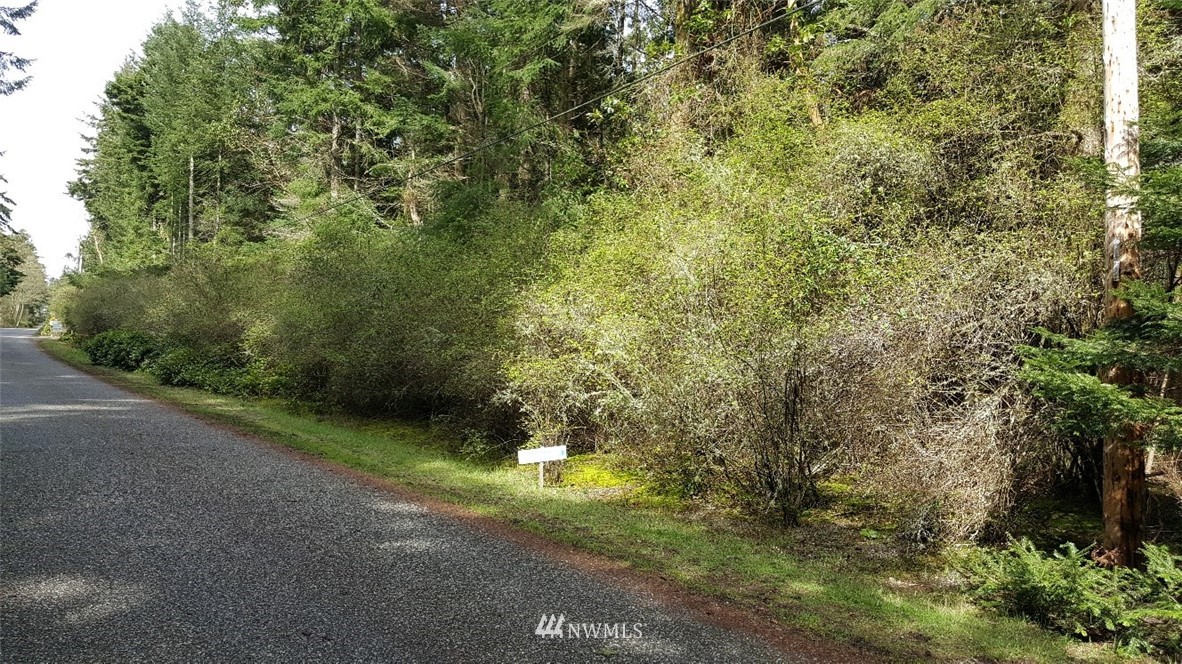 0 North Pheasant Run Road Coupeville, WA 98239 - Photo 3 of 13 Gallery Image 3