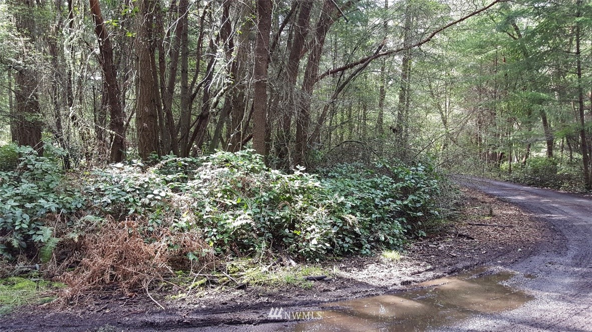 0 North Pheasant Run Road Coupeville, WA 98239 - Photo 6 of 13 Gallery Image 6