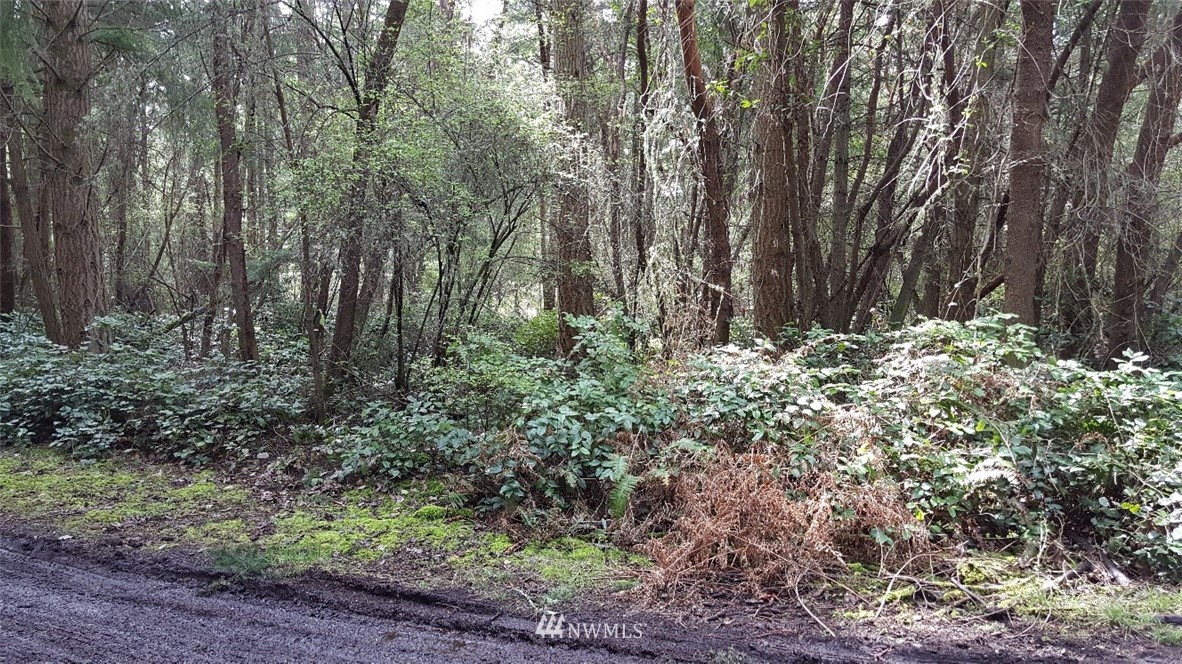 0 North Pheasant Run Road Coupeville, WA 98239 - Photo 7 of 13 Gallery Image 7