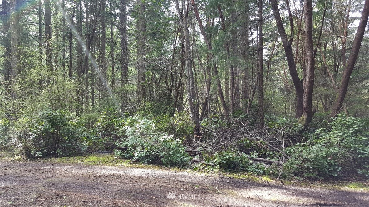 0 North Pheasant Run Road Coupeville, WA 98239 - Photo 8 of 13 Gallery Image 8