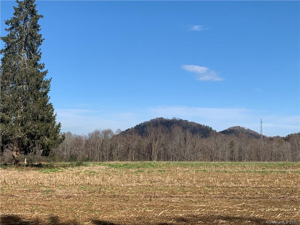 25 Connie Davis Road, Unit 5 Candler, NC 28715 - Photo 7 of 24 Gallery Image 7