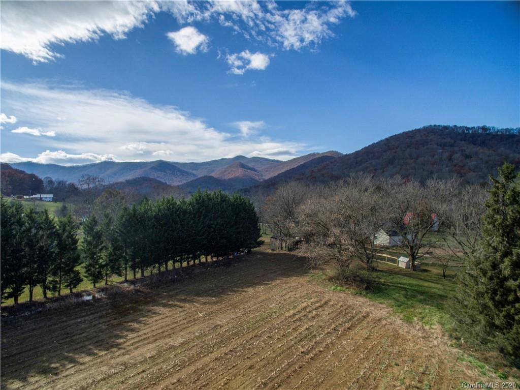 25 Connie Davis Road, Unit 5 Candler, NC 28715 - Photo 8 of 24 Gallery Image 8