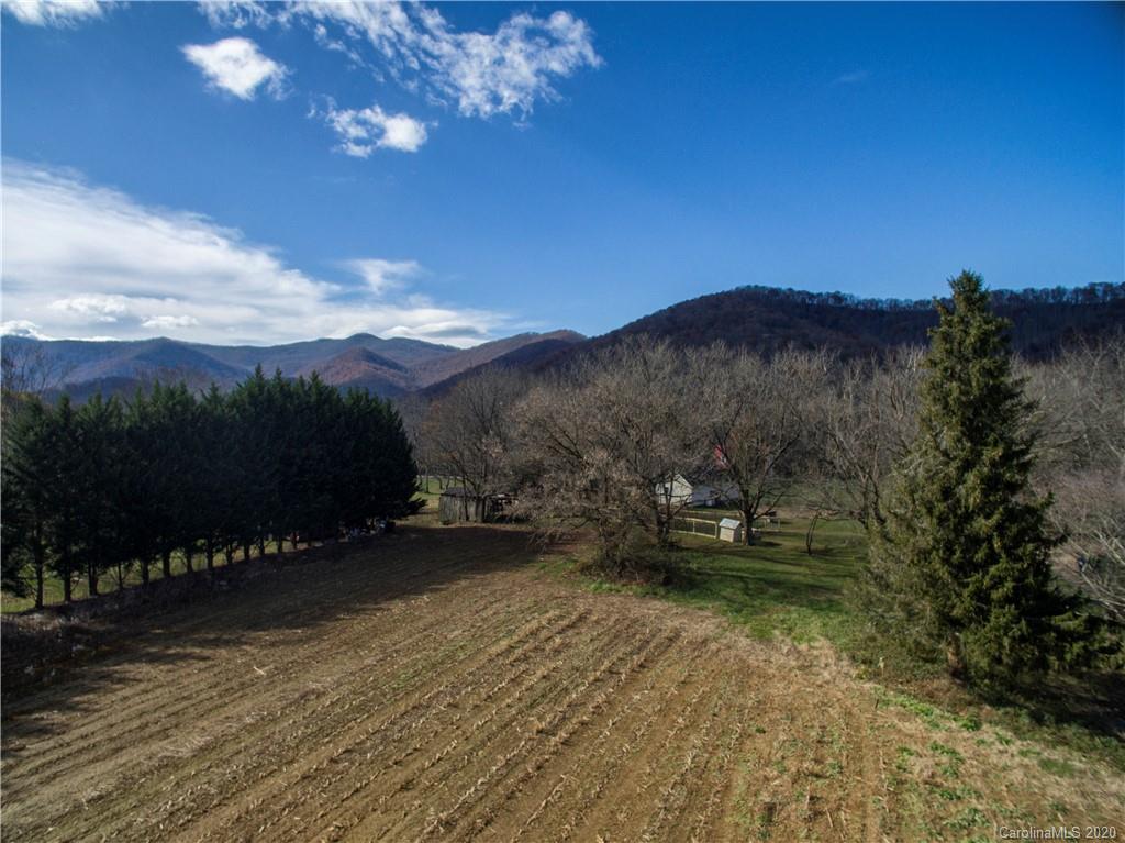 25 Connie Davis Road, Unit 5 Candler, NC 28715 - Photo 9 of 24 Gallery Image 9