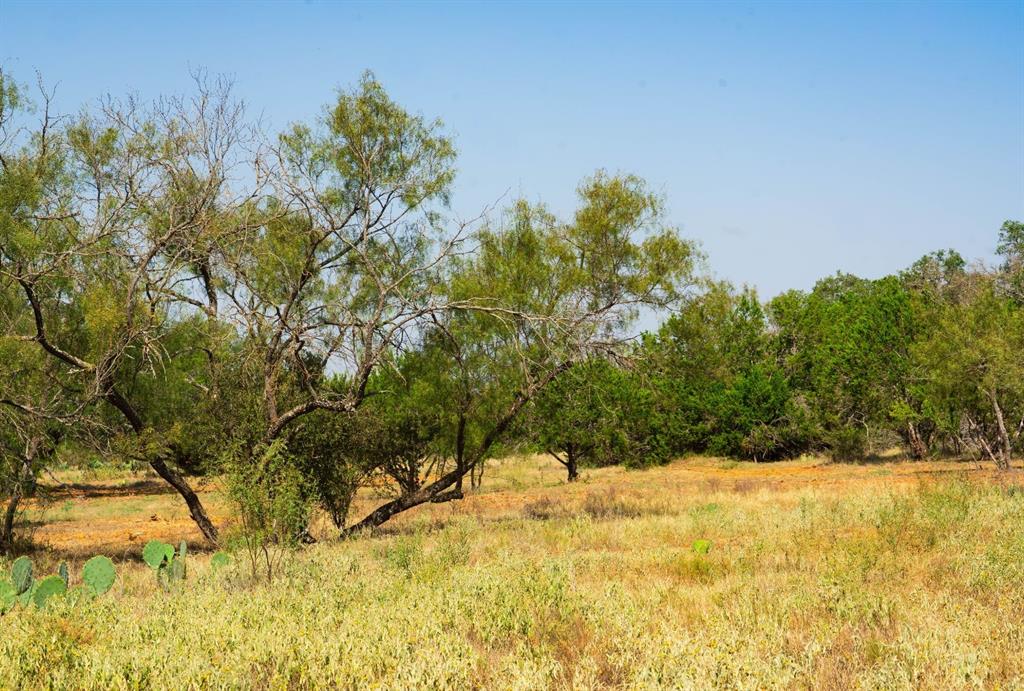 0 Old Ferry Road Spicewood, TX 78669 - Photo 14 of 31 a view of a yard covered with snow in outdoor space