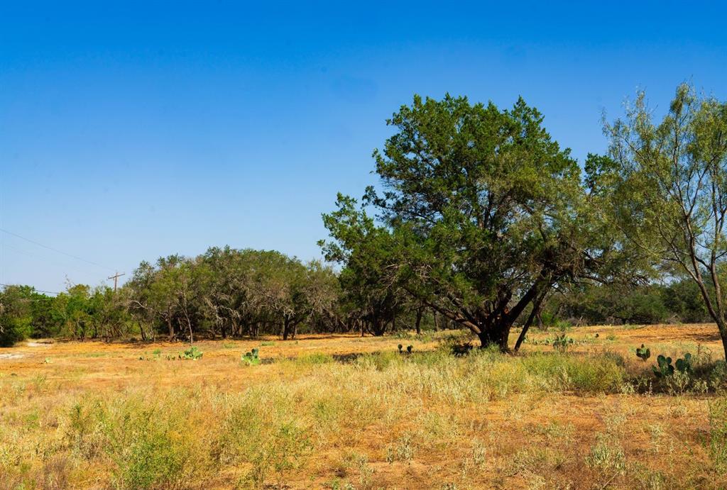 0 Old Ferry Road Spicewood, TX 78669 - Photo 15 of 31 a view of yard with trees
