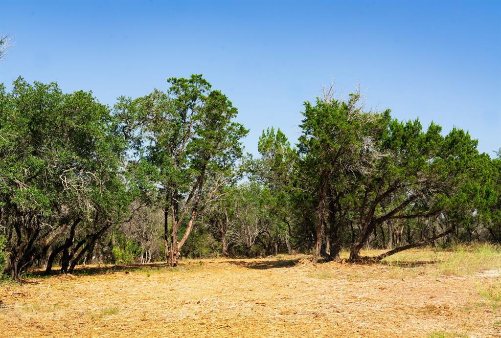 0 Old Ferry Road Spicewood, TX 78669 - Photo 19 of 31 a view of snow on the side of the road