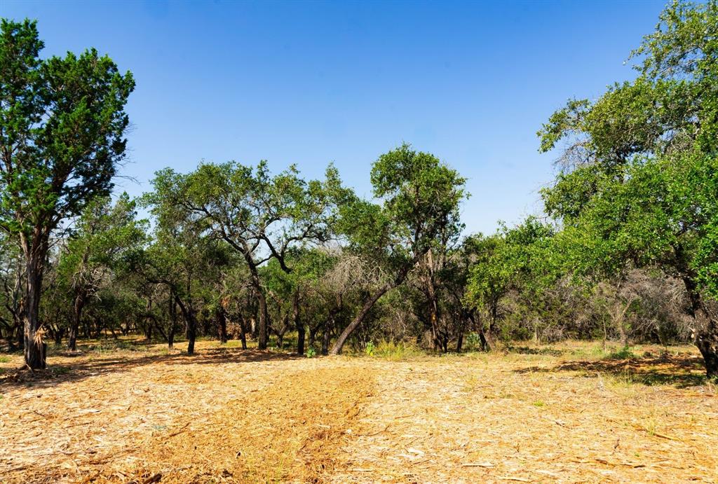 0 Old Ferry Road Spicewood, TX 78669 - Photo 20 of 31 a view of a yard covered with snow in front of house