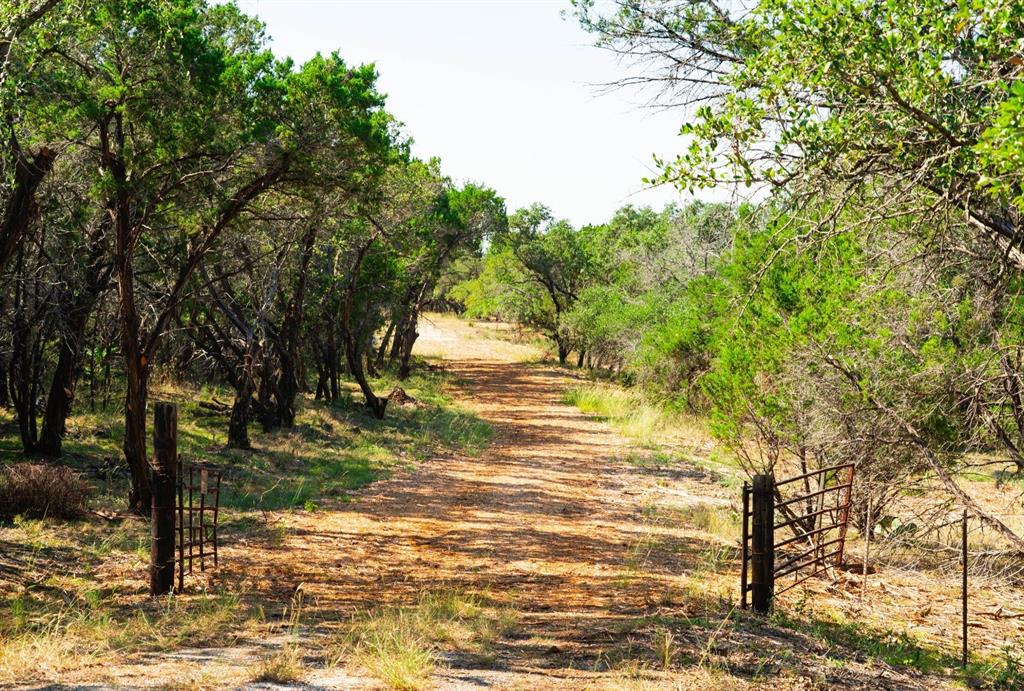 0 Old Ferry Road Spicewood, TX 78669 - Photo 2 of 31 a view of a yard with an trees