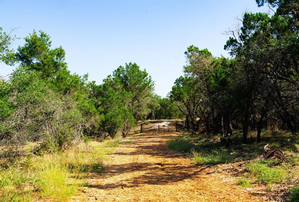 0 Old Ferry Road Spicewood, TX 78669 - Photo 22 of 31 a view of yard