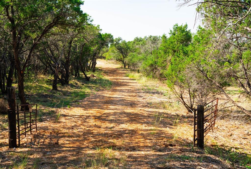 0 Old Ferry Road Spicewood, TX 78669 - Photo 23 of 31 a view of a yard with a tree