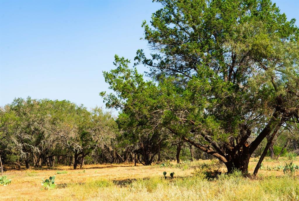 0 Old Ferry Road Spicewood, TX 78669 - Photo 3 of 31 a view of a yard with large trees