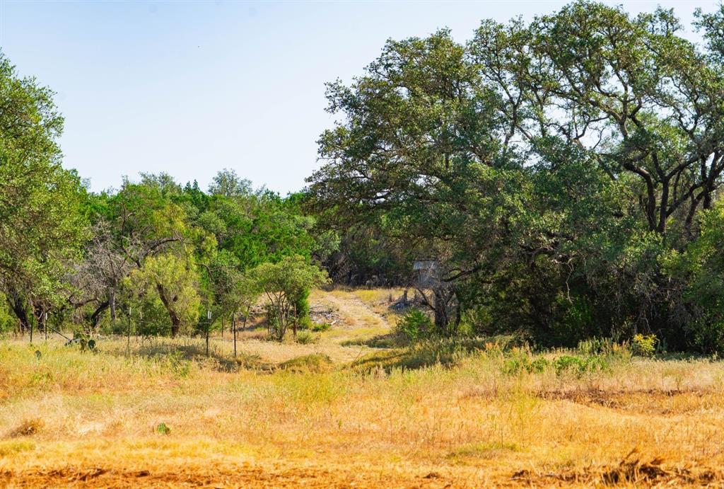 0 Old Ferry Road Spicewood, TX 78669 - Photo 6 of 31 a view of a yard with a tree