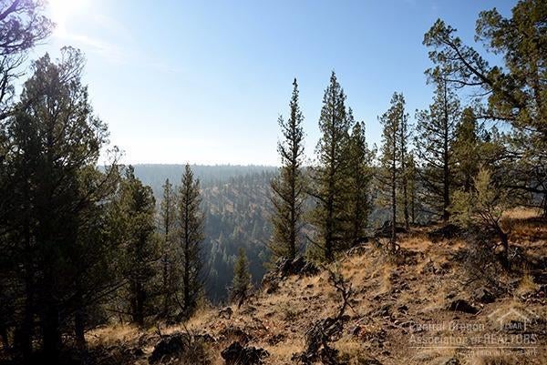 17785 Mountain View Road Sisters, OR 97759 - Photo 7 of 13 Additional Photo