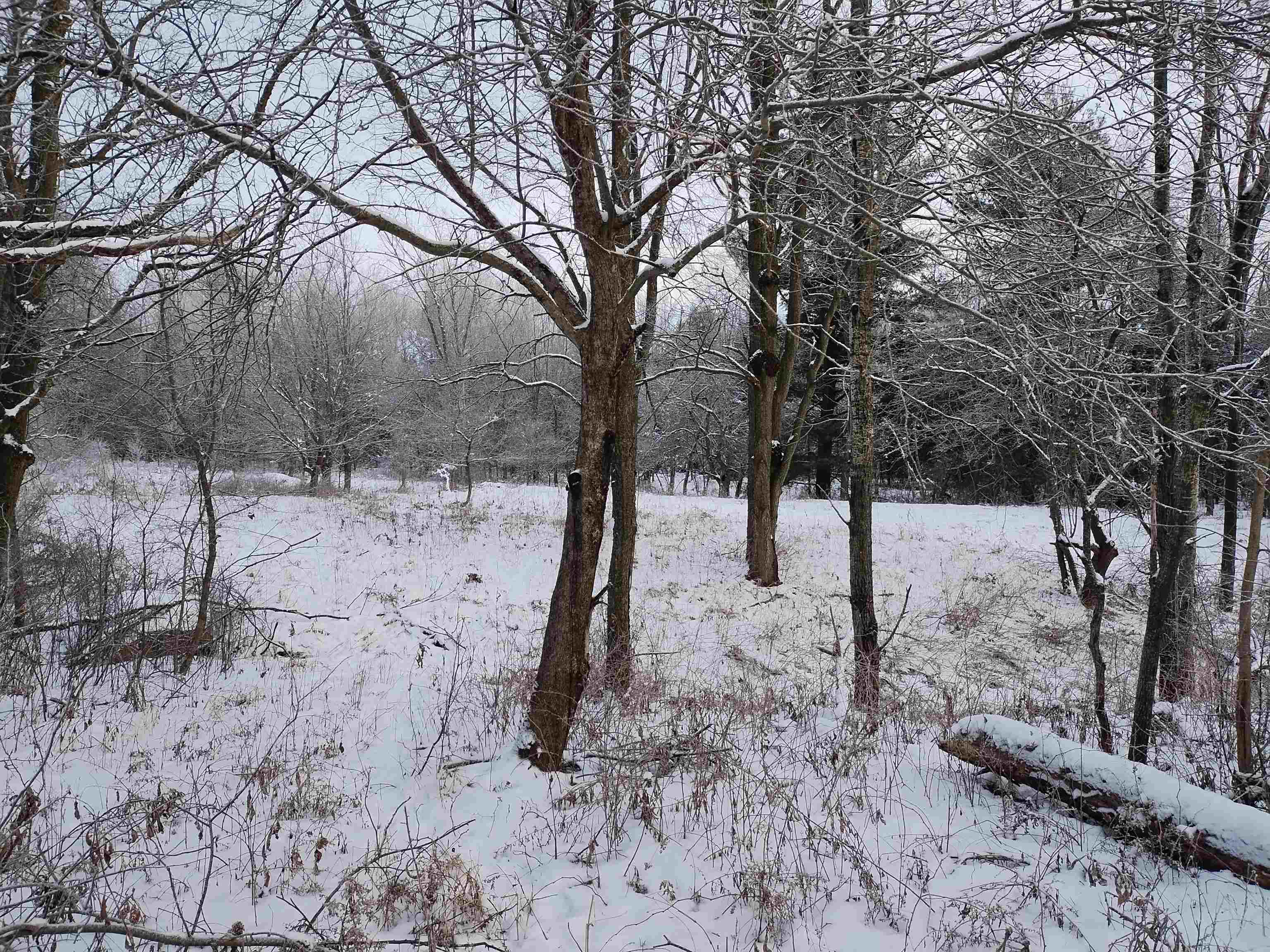 0 Bear Mountain Road Westfield, VT 05874 - Photo 1 of 7 Gallery Image 1