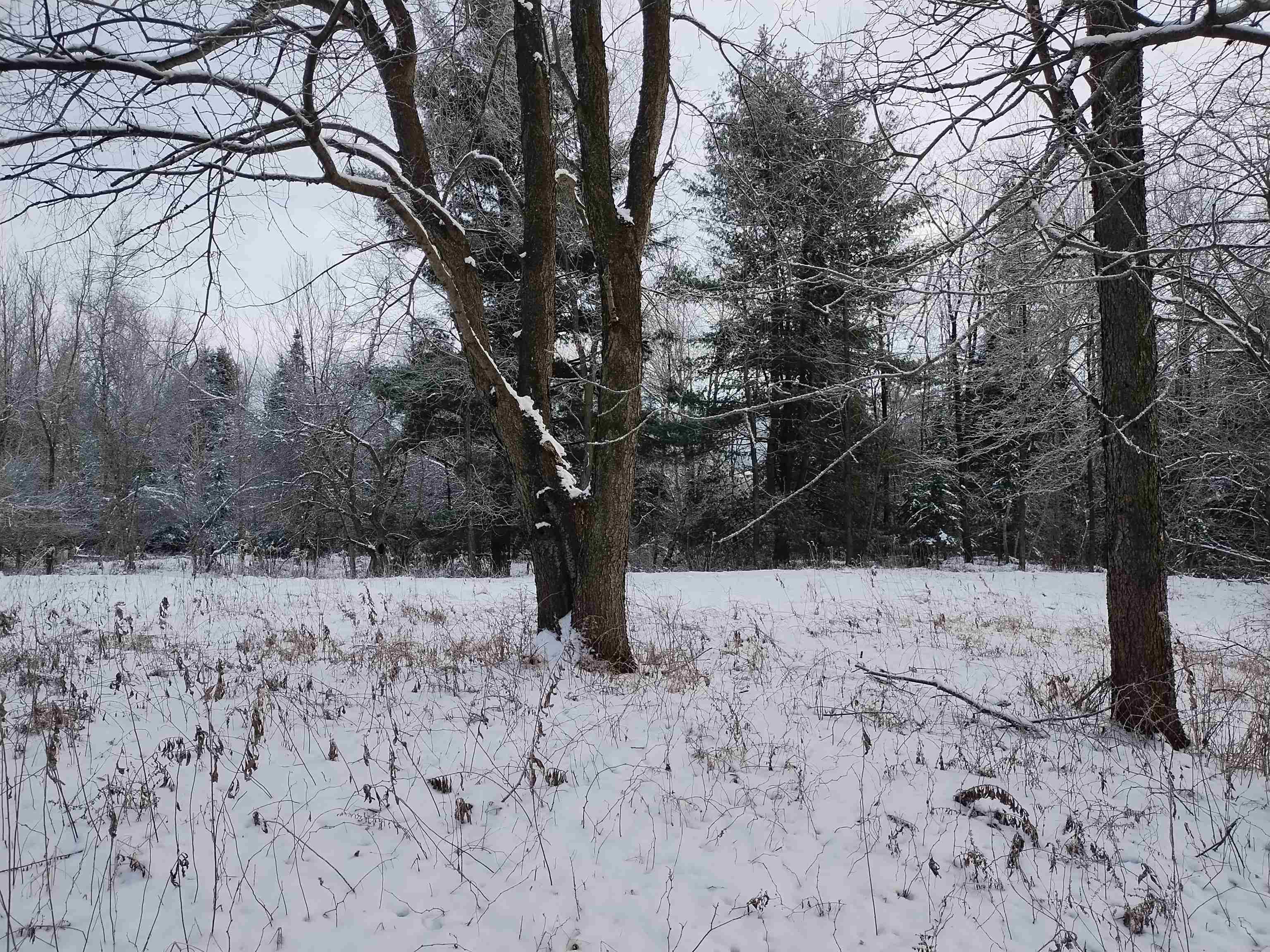 0 Bear Mountain Road Westfield, VT 05874 - Photo 2 of 7 Gallery Image 2