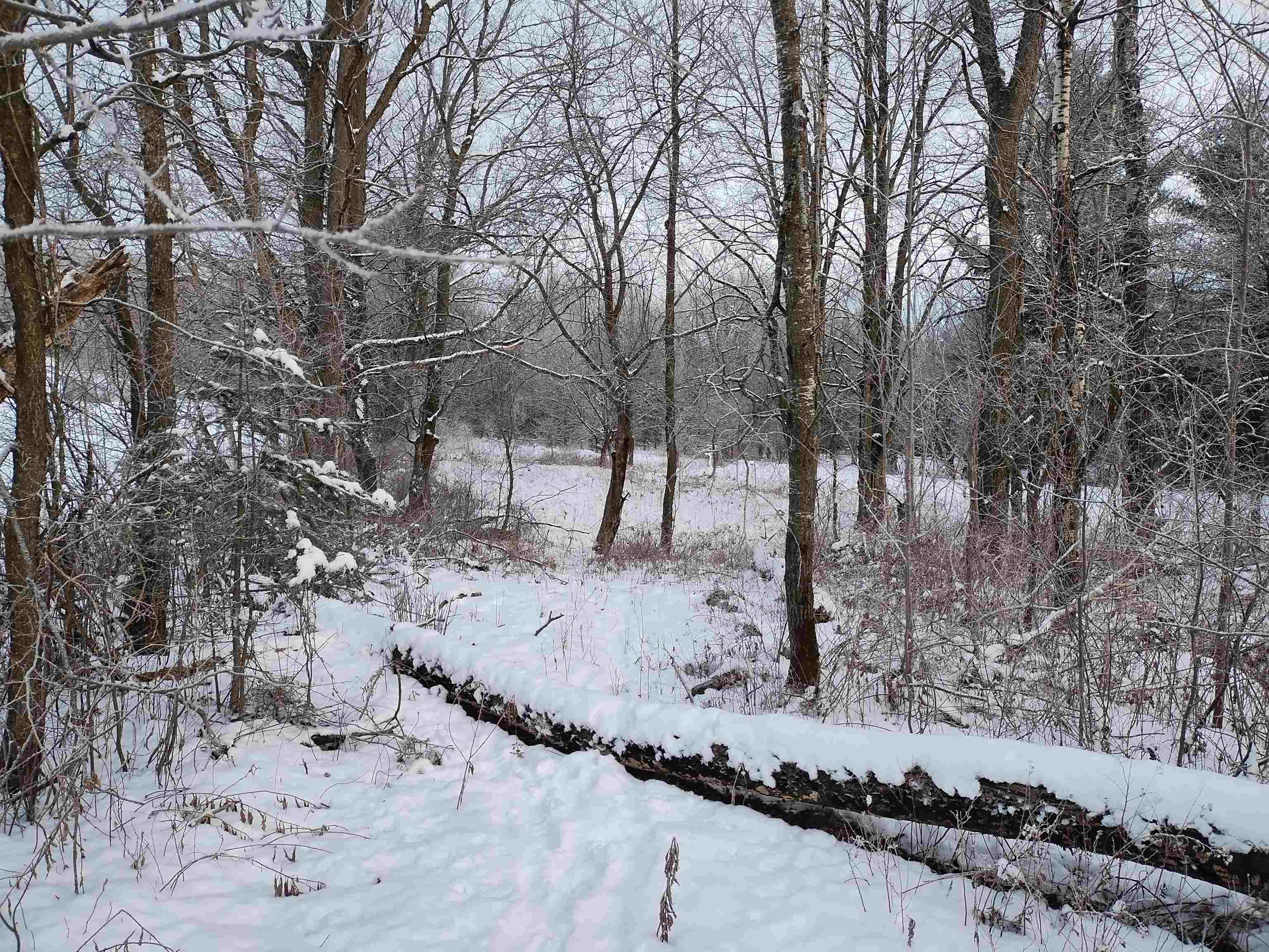 0 Bear Mountain Road Westfield, VT 05874 - Photo 4 of 7 Gallery Image 4
