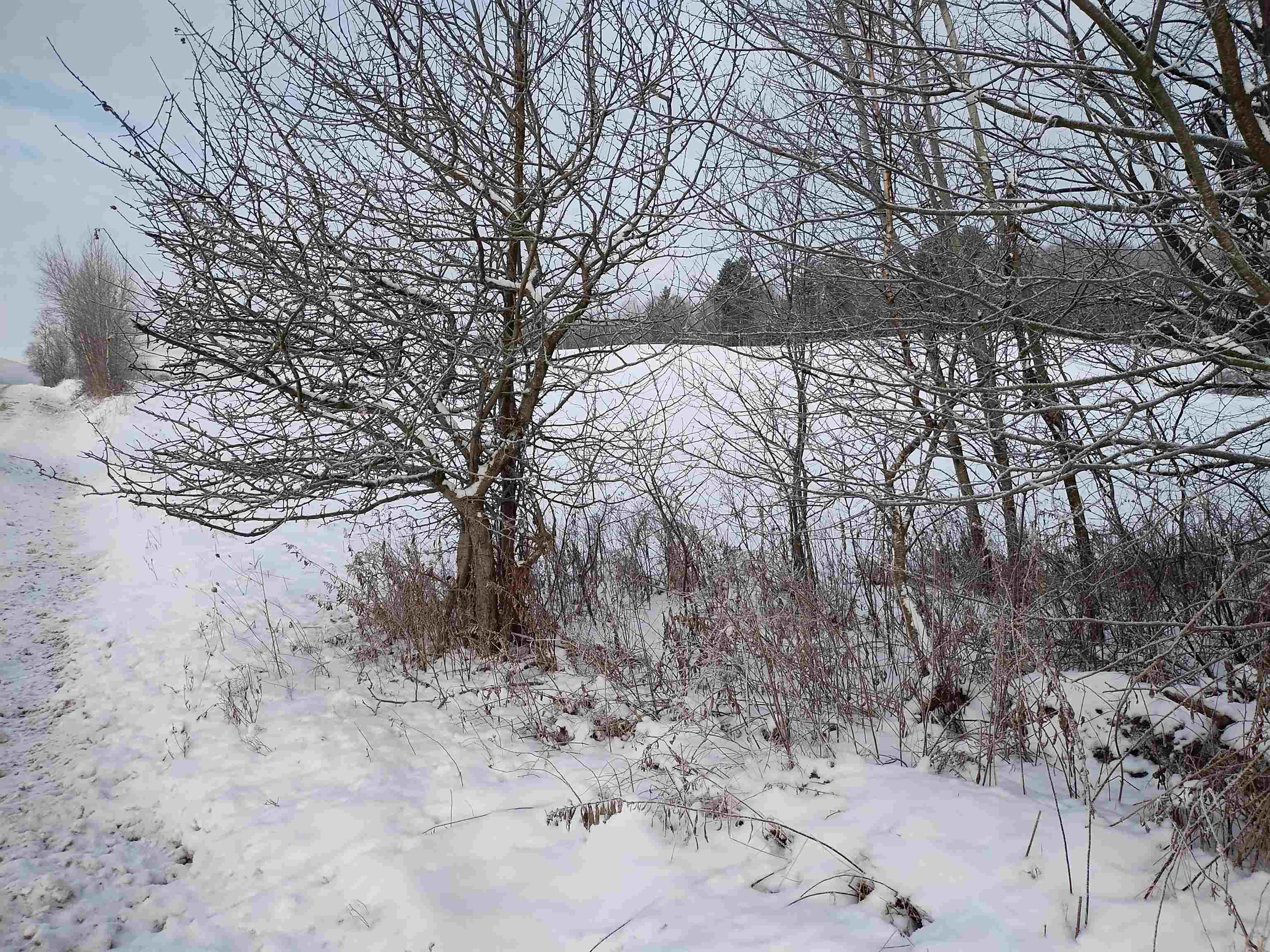 0 Bear Mountain Road Westfield, VT 05874 - Photo 5 of 7 Gallery Image 5