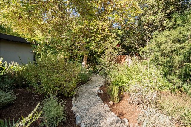 a view of a yard with plants and trees