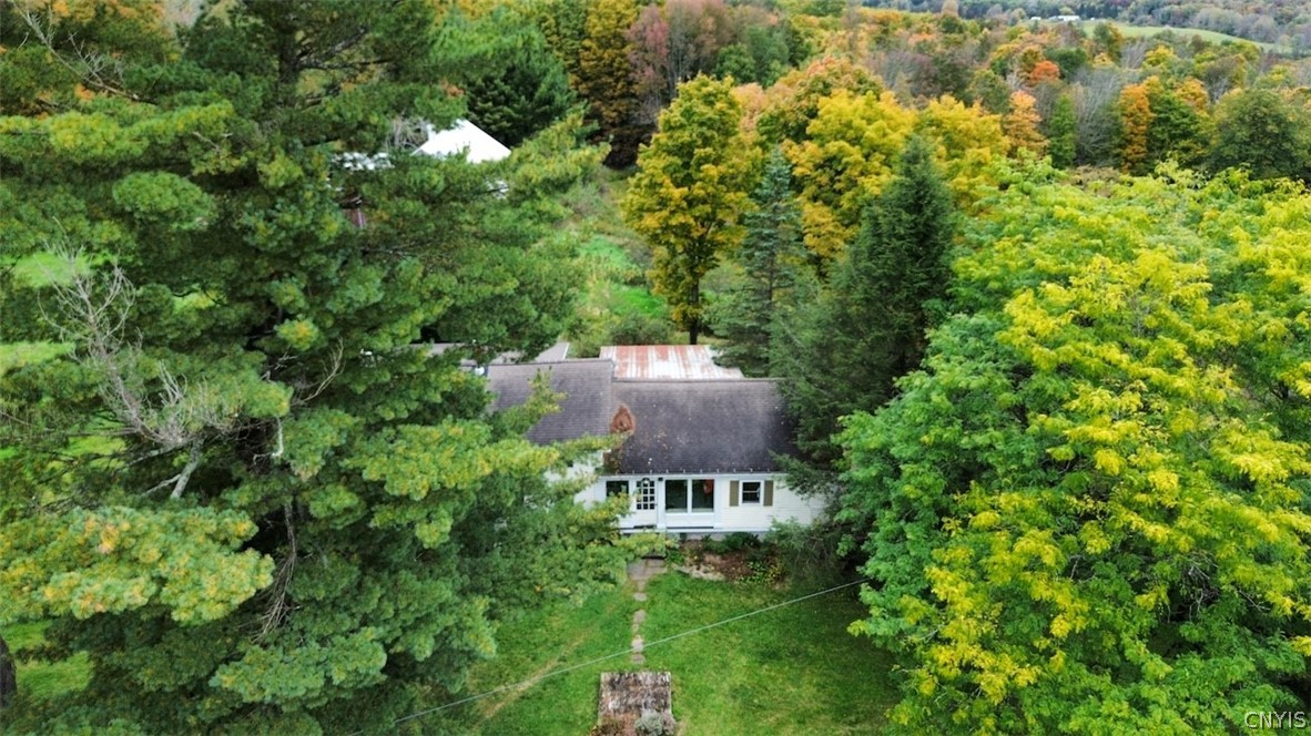 5099 Conrad Road Willet, NY 13040 - Photo 47 of 50 Gallery Image 47