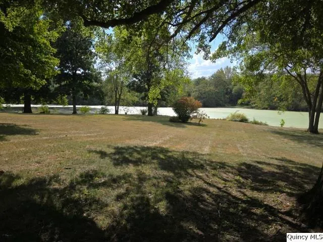 a view of a field with trees in the background