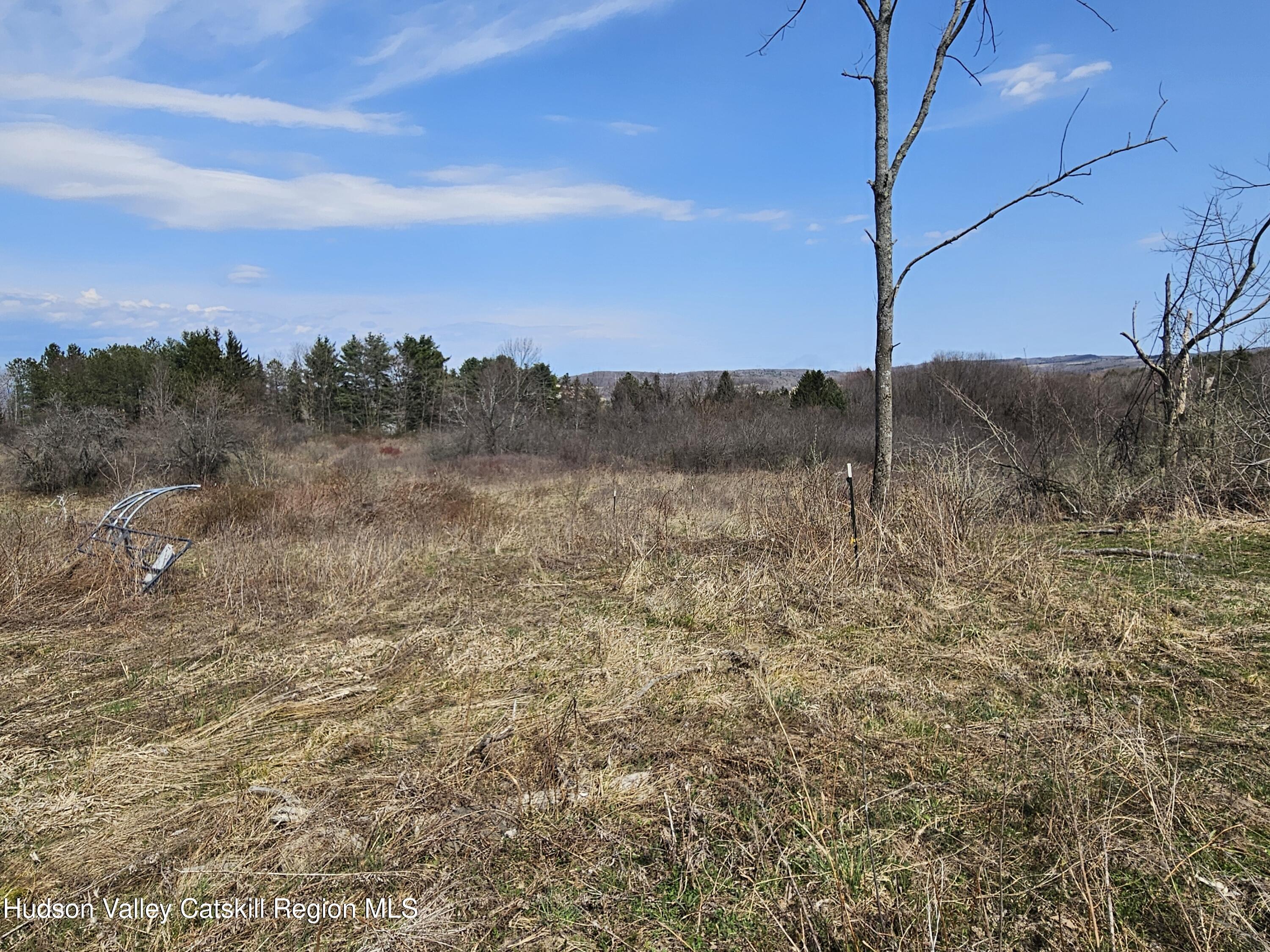 295 Shellstone Road Amsterdam, NY 12010 - Photo 17 of 98 20250424_142807