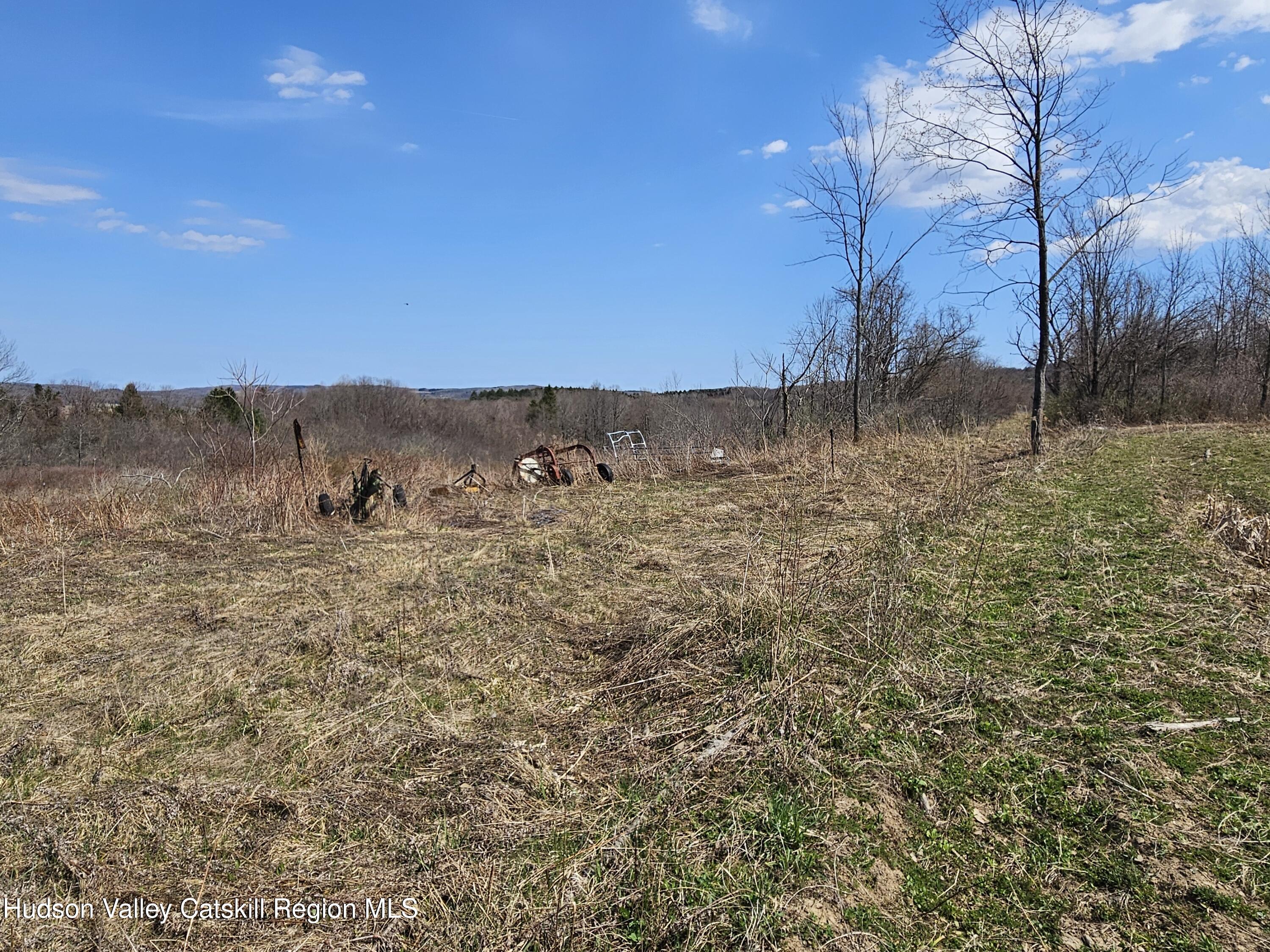 295 Shellstone Road Amsterdam, NY 12010 - Photo 17 of 98 20250424_142657