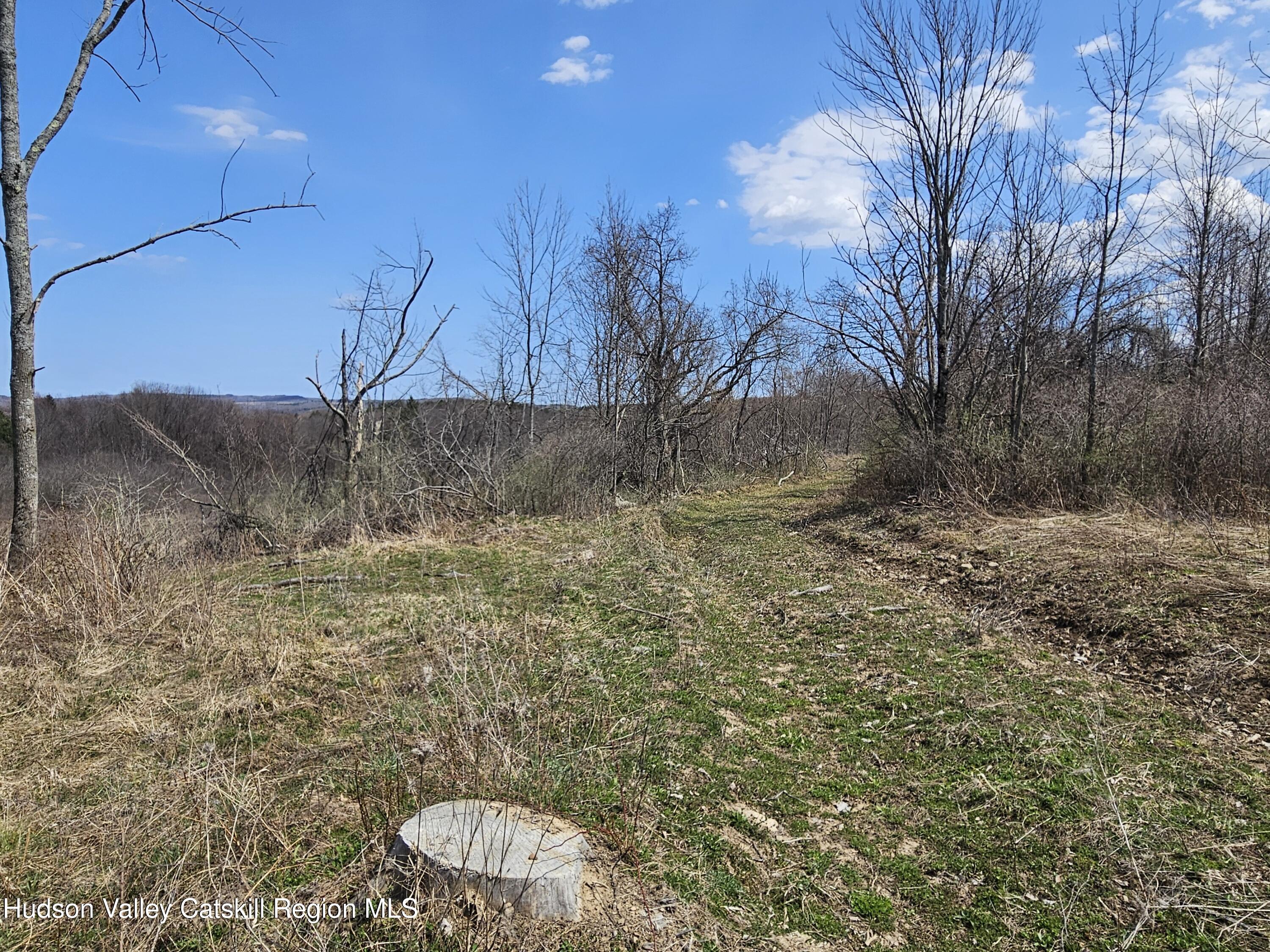 295 Shellstone Road Amsterdam, NY 12010 - Photo 18 of 98 20250424_142812