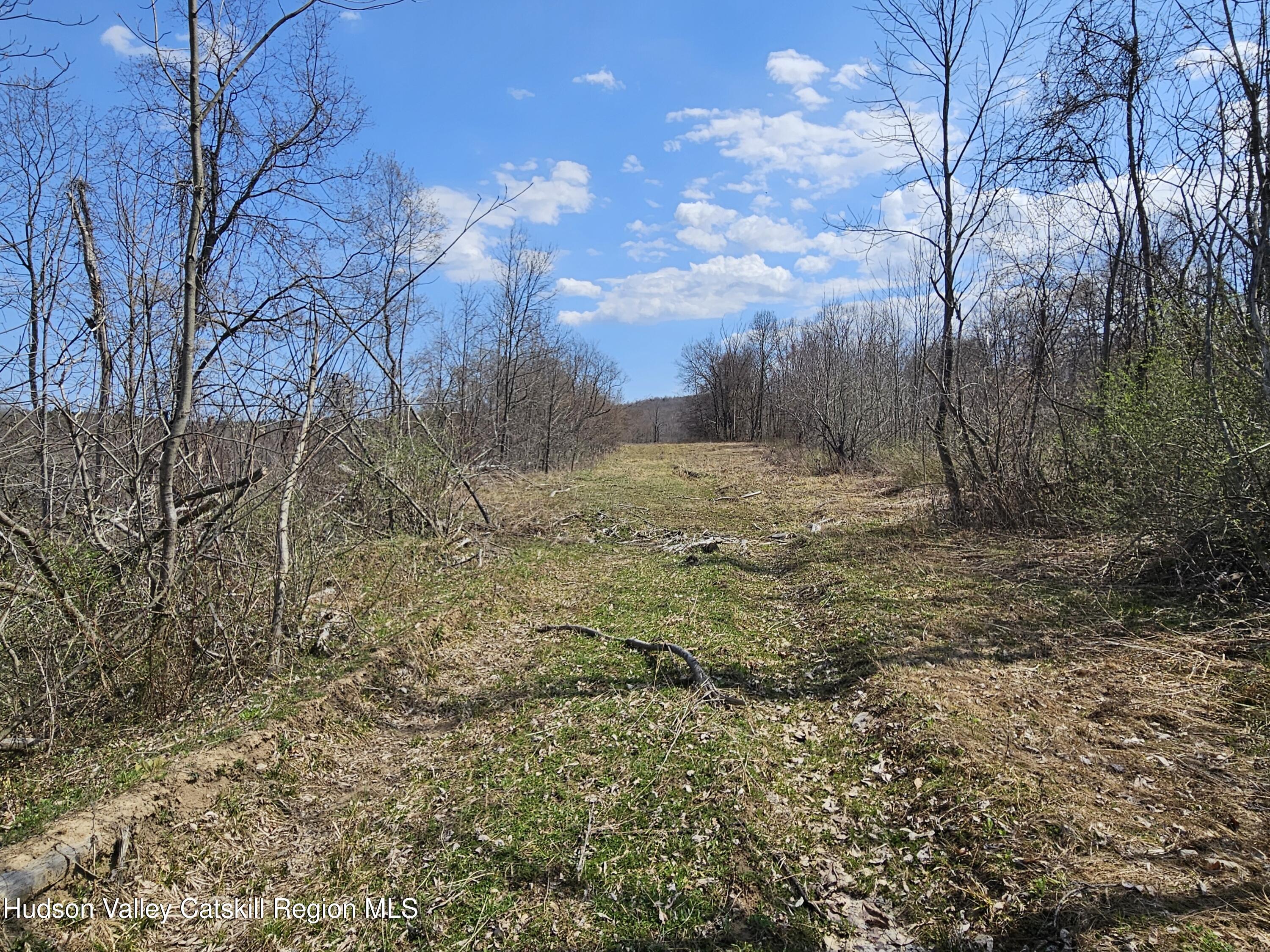 295 Shellstone Road Amsterdam, NY 12010 - Photo 19 of 98 20250424_142943