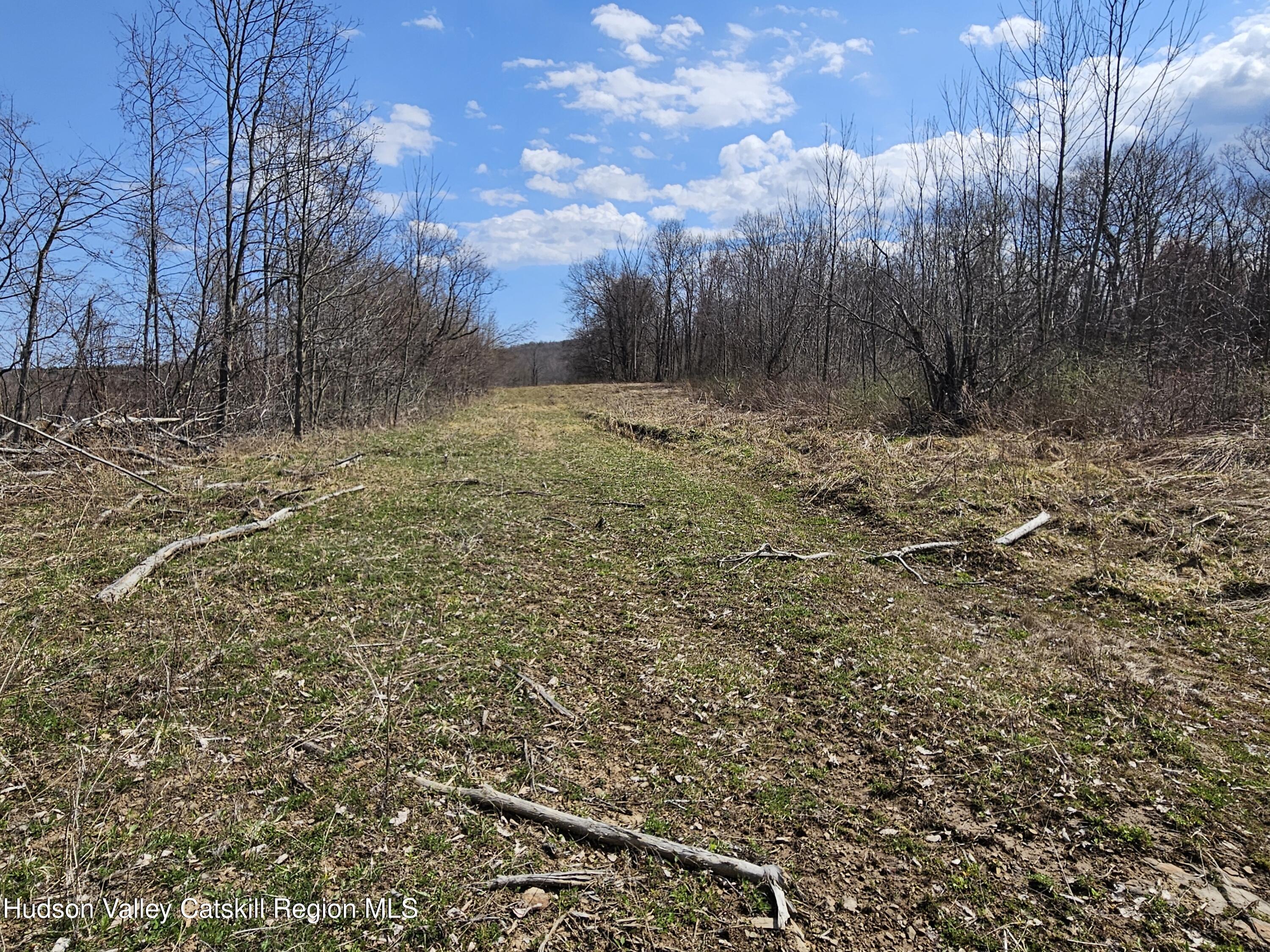 295 Shellstone Road Amsterdam, NY 12010 - Photo 20 of 98 20250424_143008