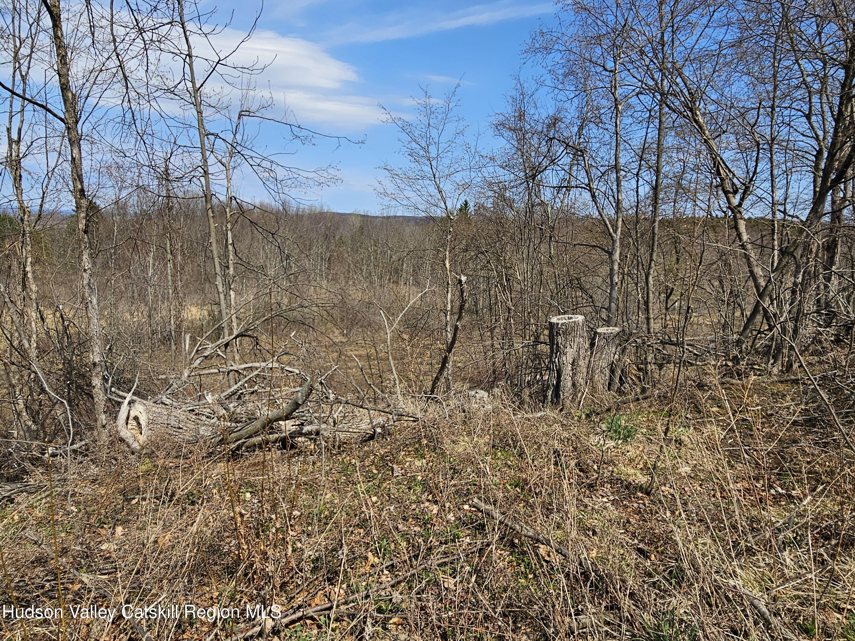 295 Shellstone Road Amsterdam, NY 12010 - Photo 21 of 98 20250424_143109