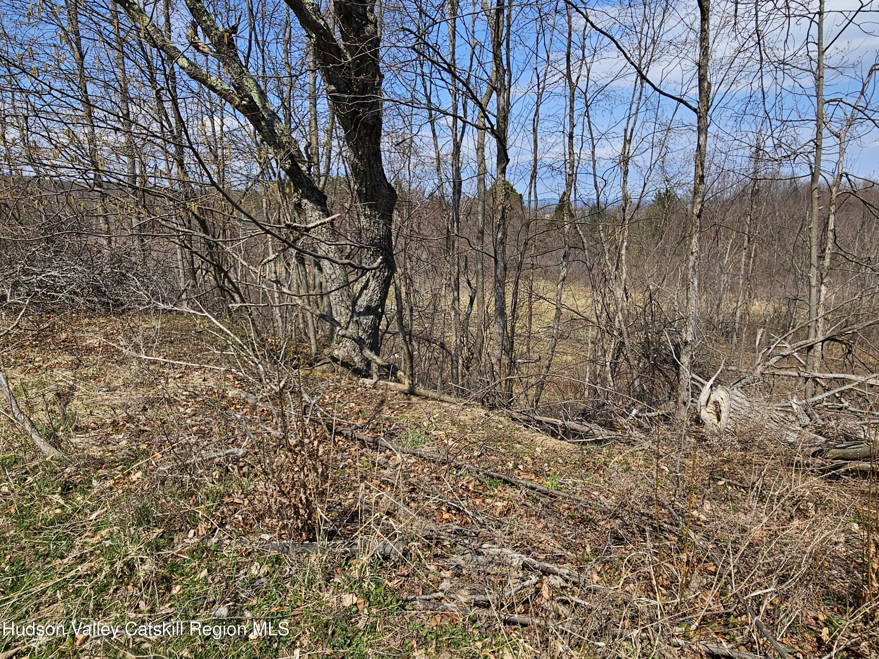 295 Shellstone Road Amsterdam, NY 12010 - Photo 24 of 98 20250424_143111