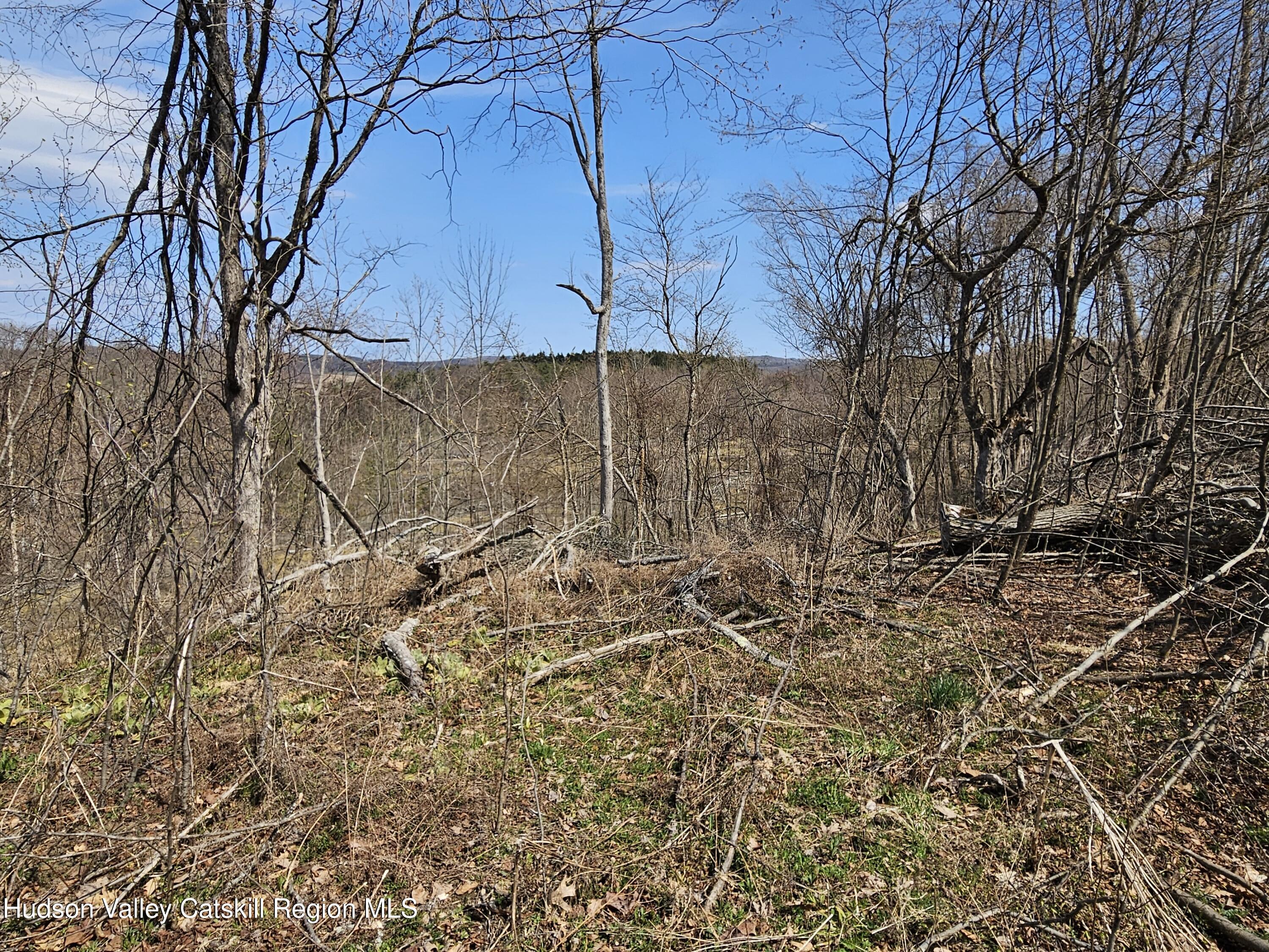295 Shellstone Road Amsterdam, NY 12010 - Photo 24 of 98 20250424_143230