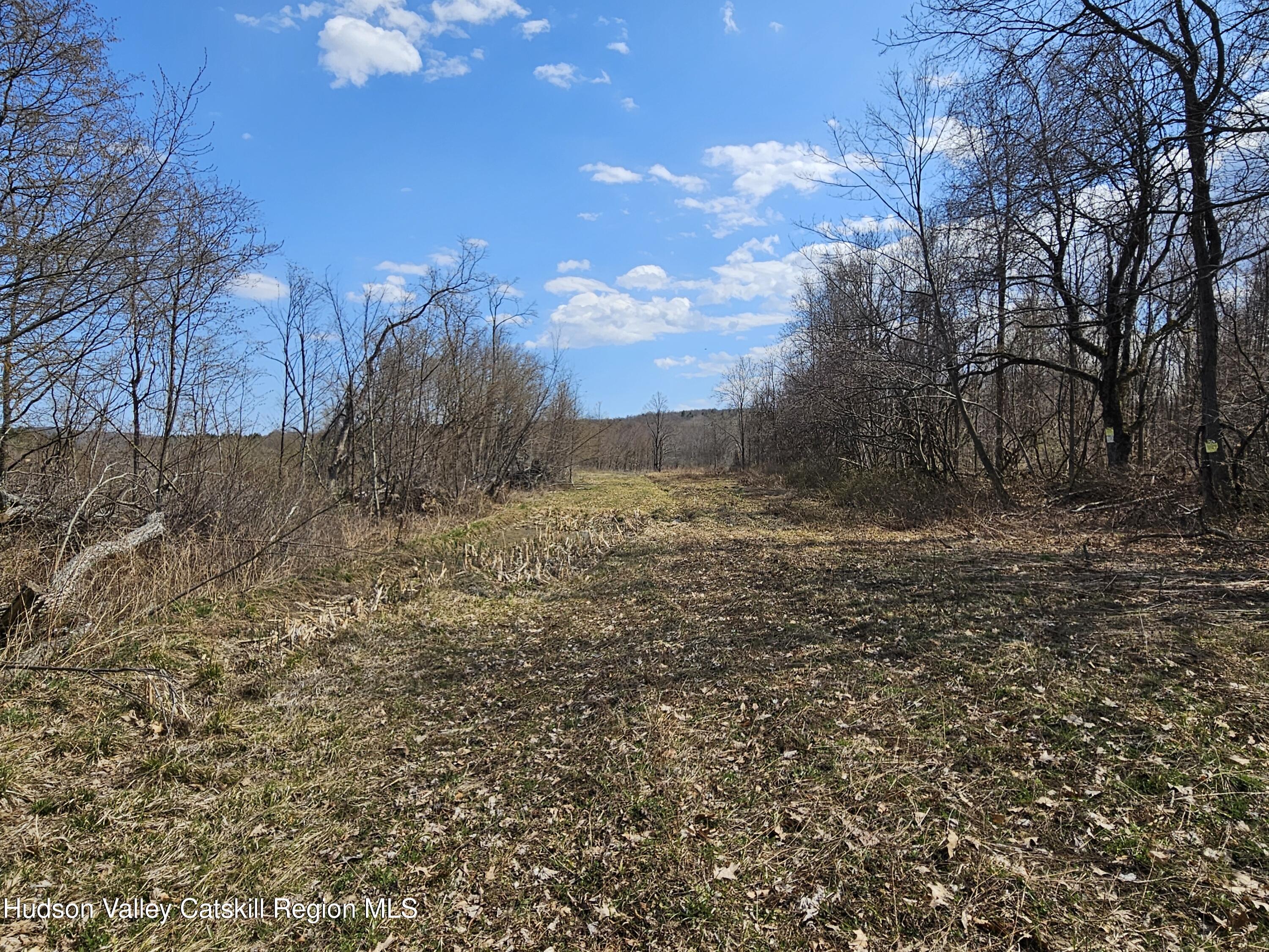 295 Shellstone Road Amsterdam, NY 12010 - Photo 25 of 98 20250424_143150