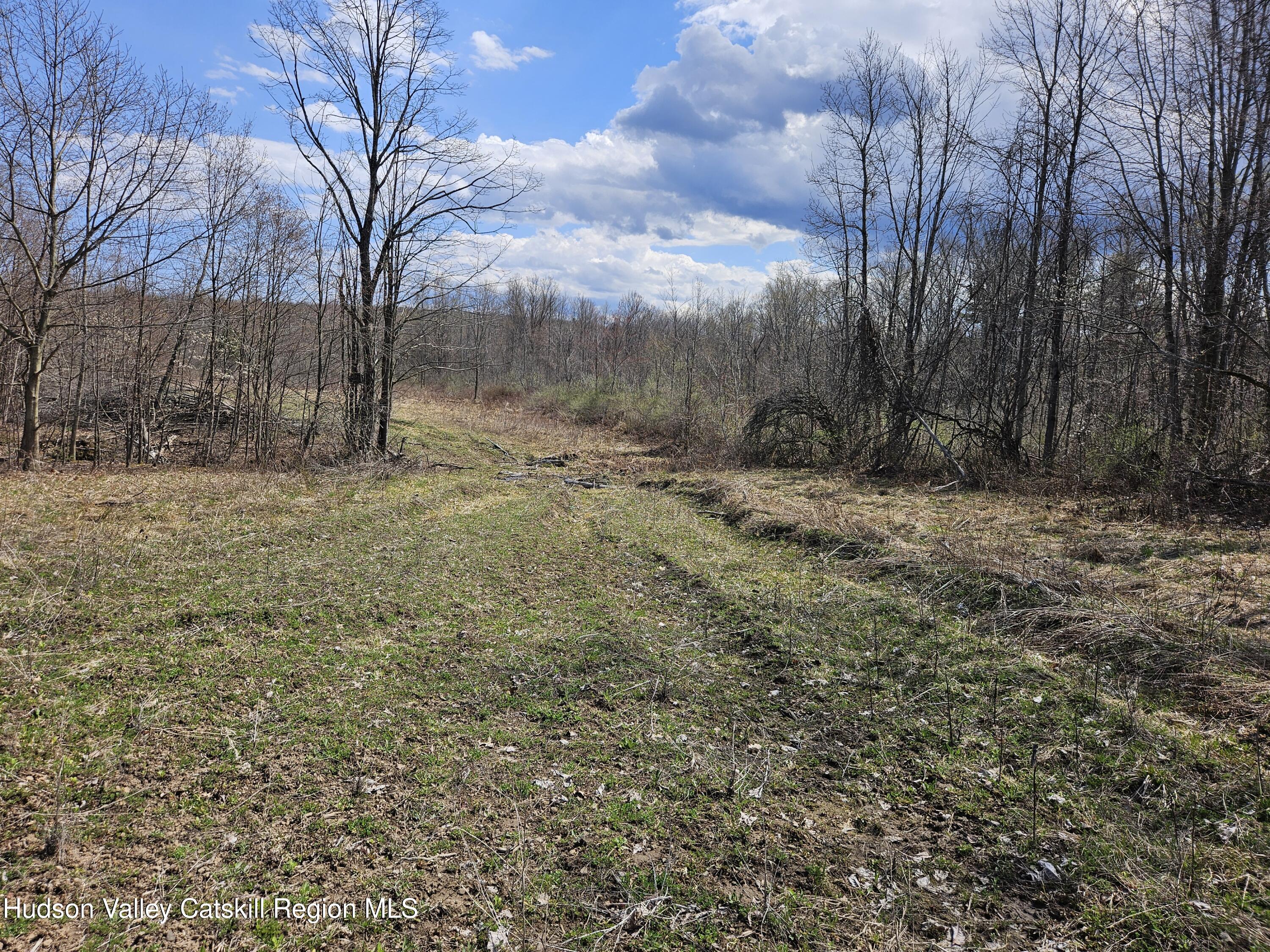 295 Shellstone Road Amsterdam, NY 12010 - Photo 26 of 98 20250424_143404