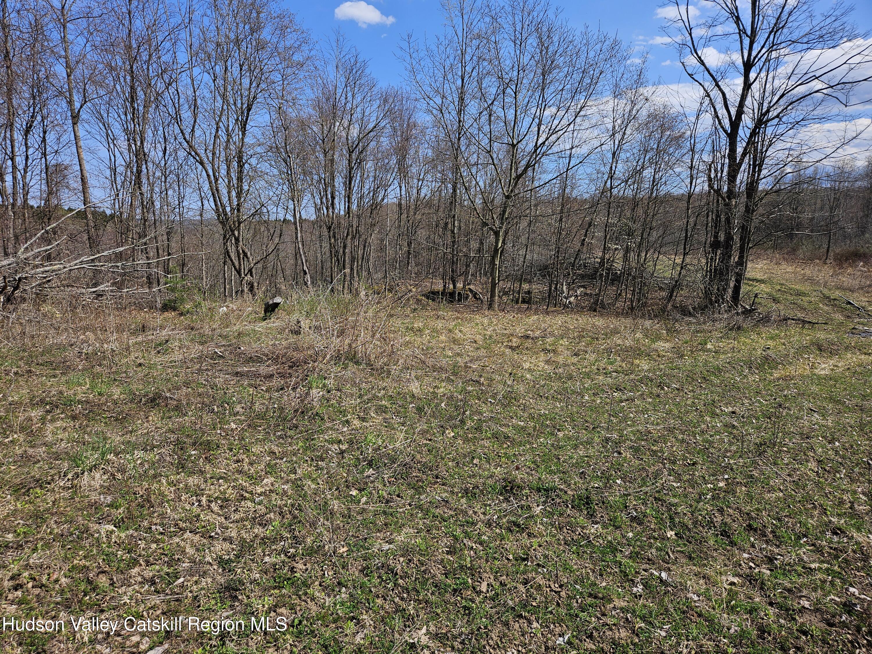 295 Shellstone Road Amsterdam, NY 12010 - Photo 27 of 98 20250424_143408