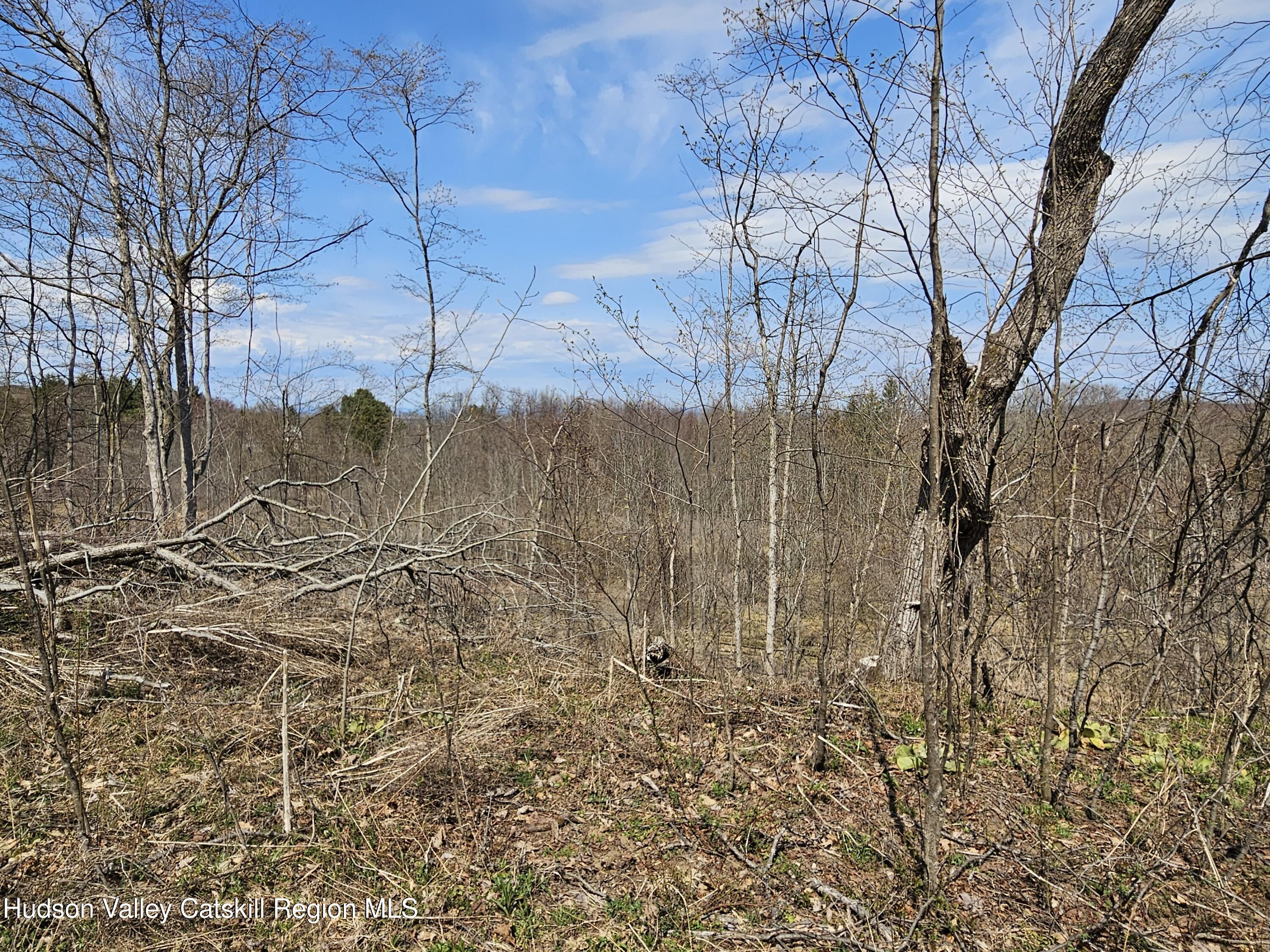 295 Shellstone Road Amsterdam, NY 12010 - Photo 27 of 98 20250424_143235