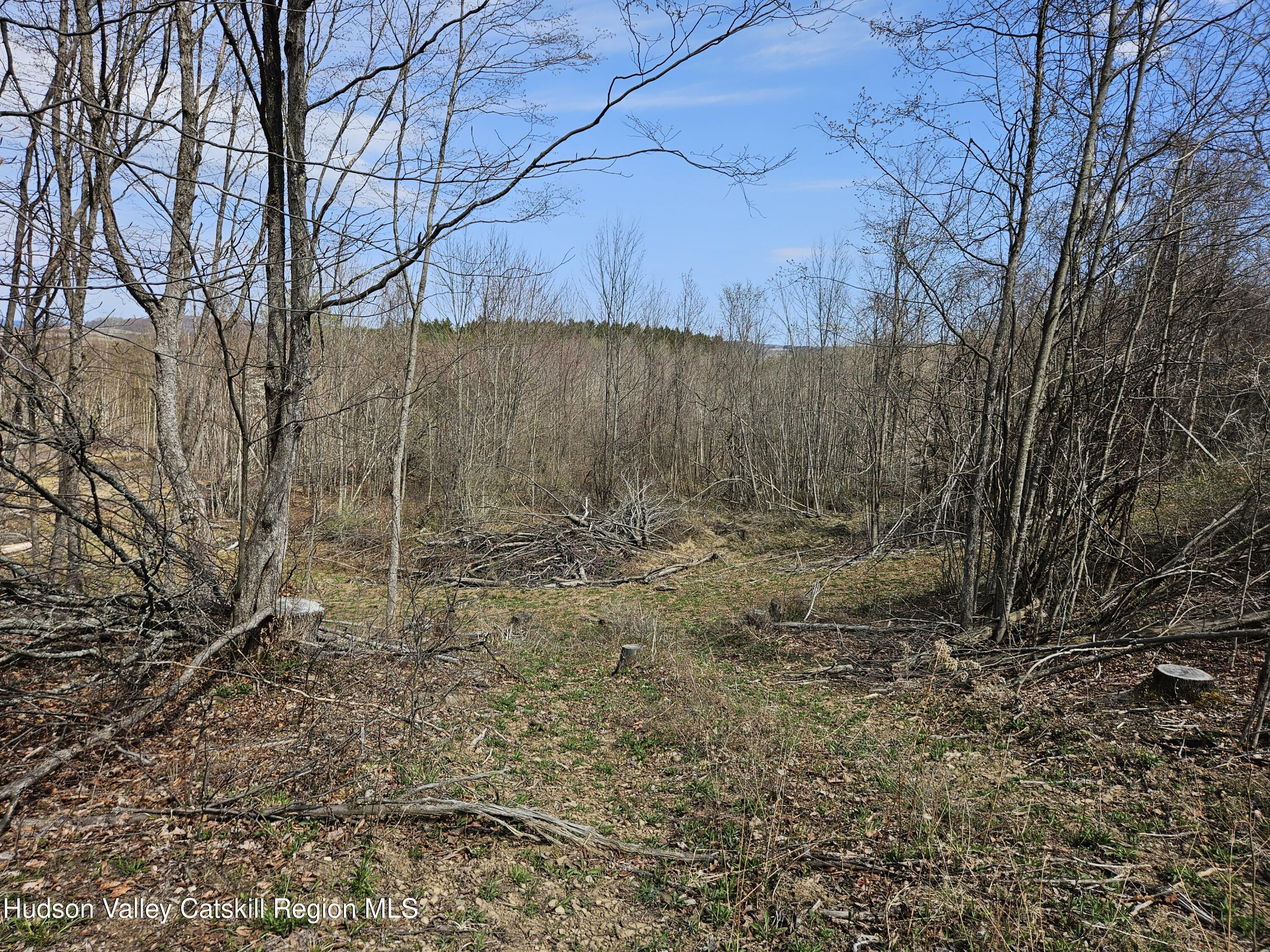 295 Shellstone Road Amsterdam, NY 12010 - Photo 30 of 98 20250424_143502