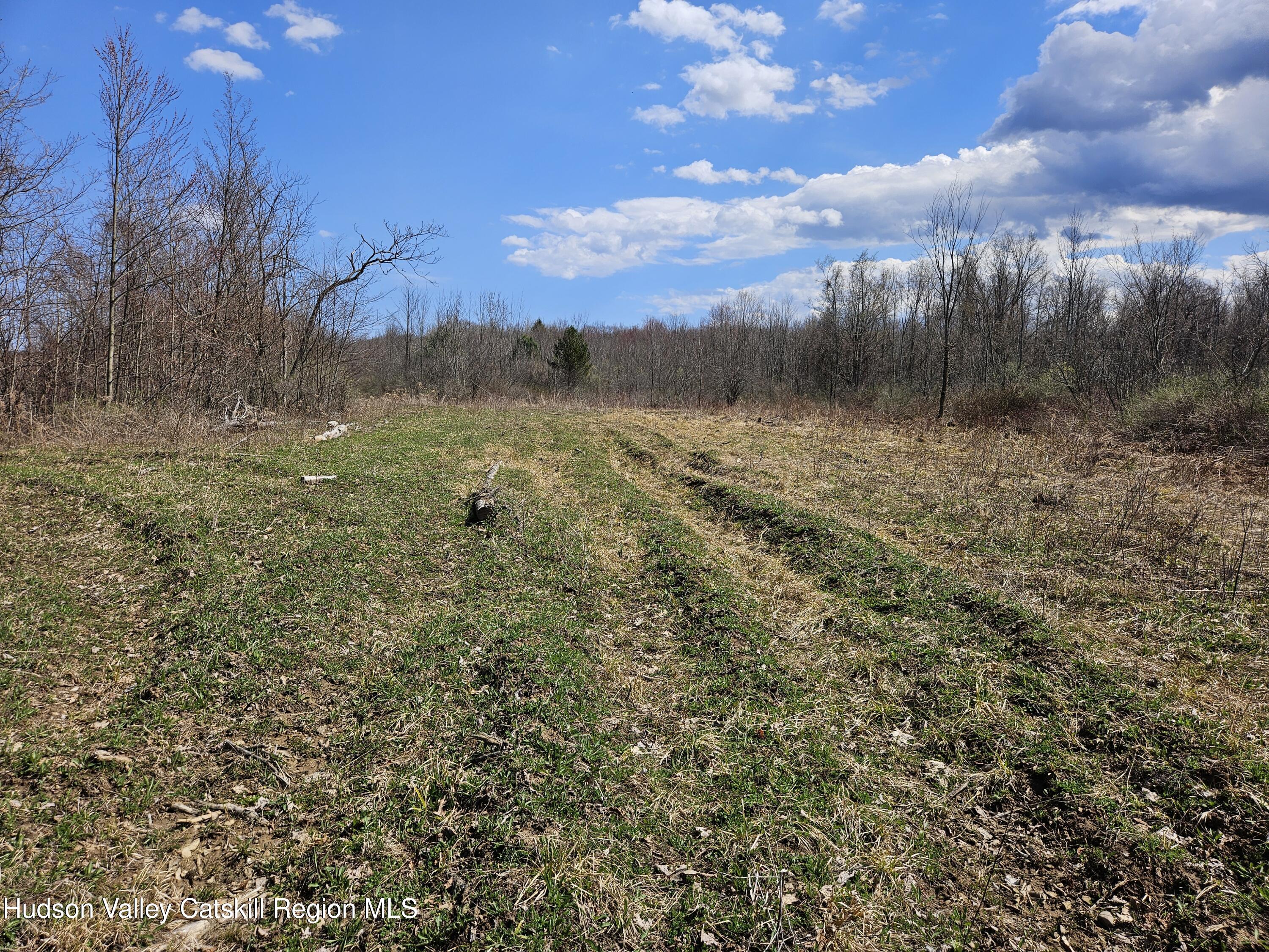 295 Shellstone Road Amsterdam, NY 12010 - Photo 30 of 98 20250424_143444