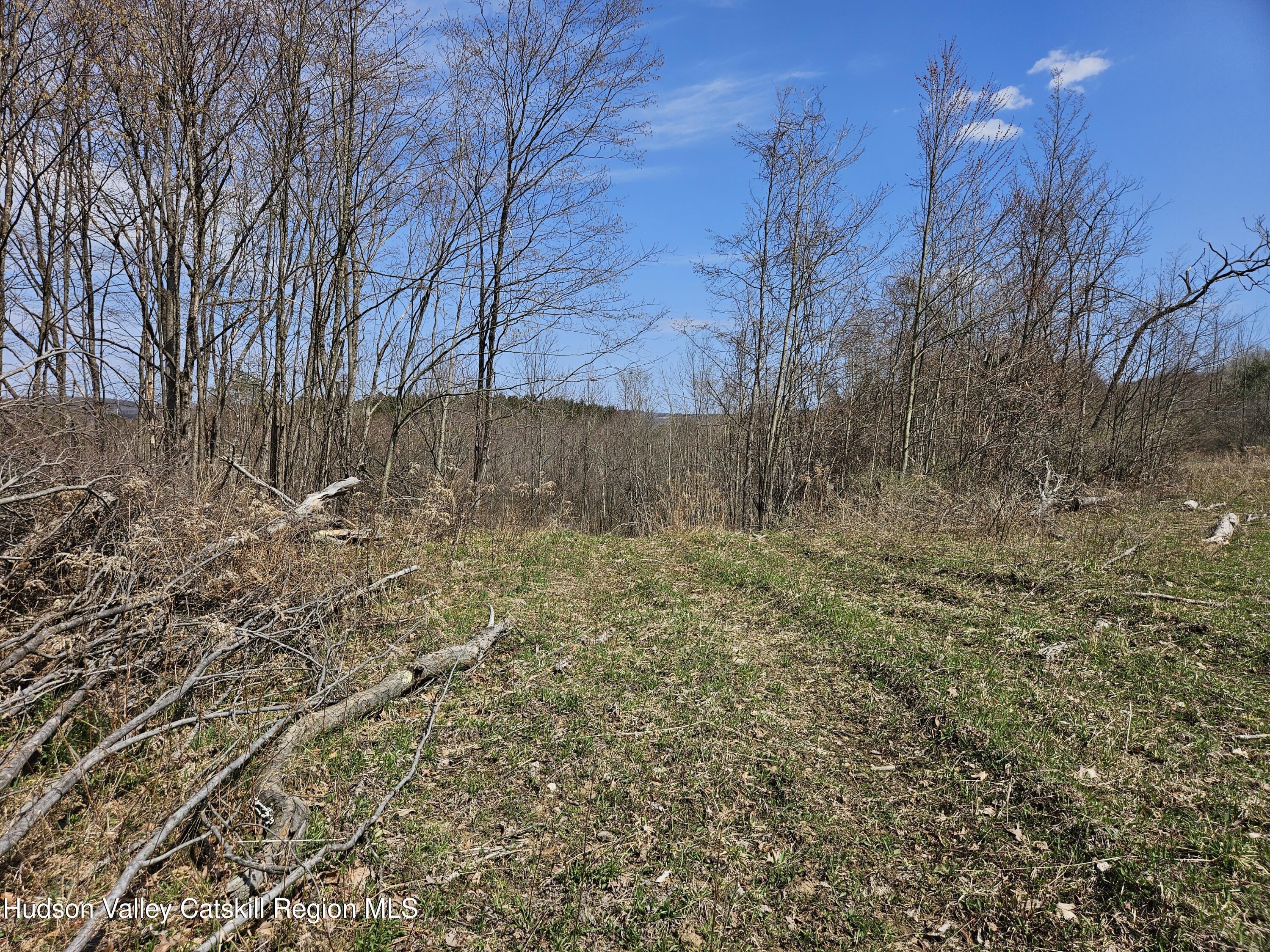 295 Shellstone Road Amsterdam, NY 12010 - Photo 31 of 98 20250424_143450