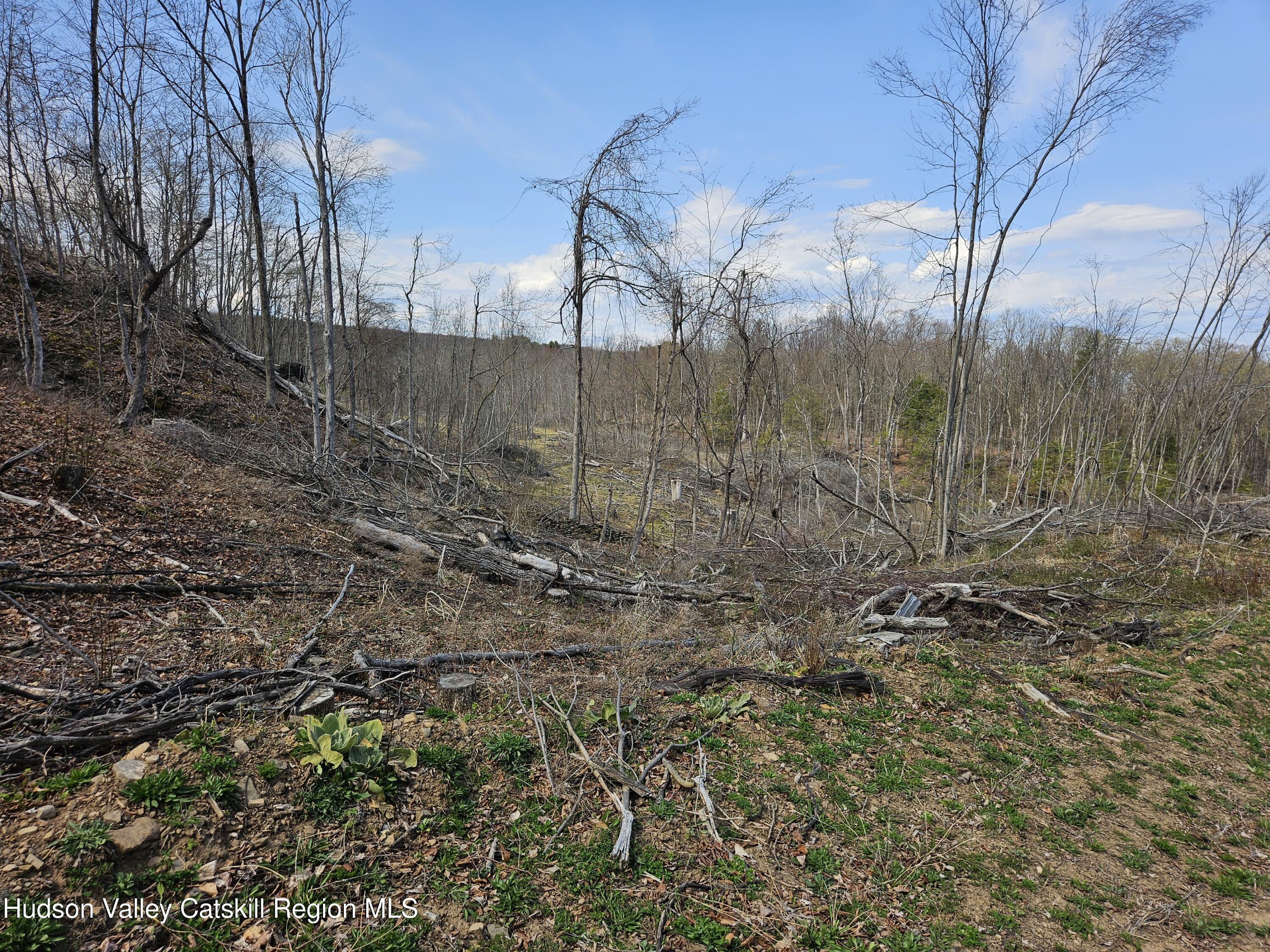 295 Shellstone Road Amsterdam, NY 12010 - Photo 33 of 98 20250424_143542