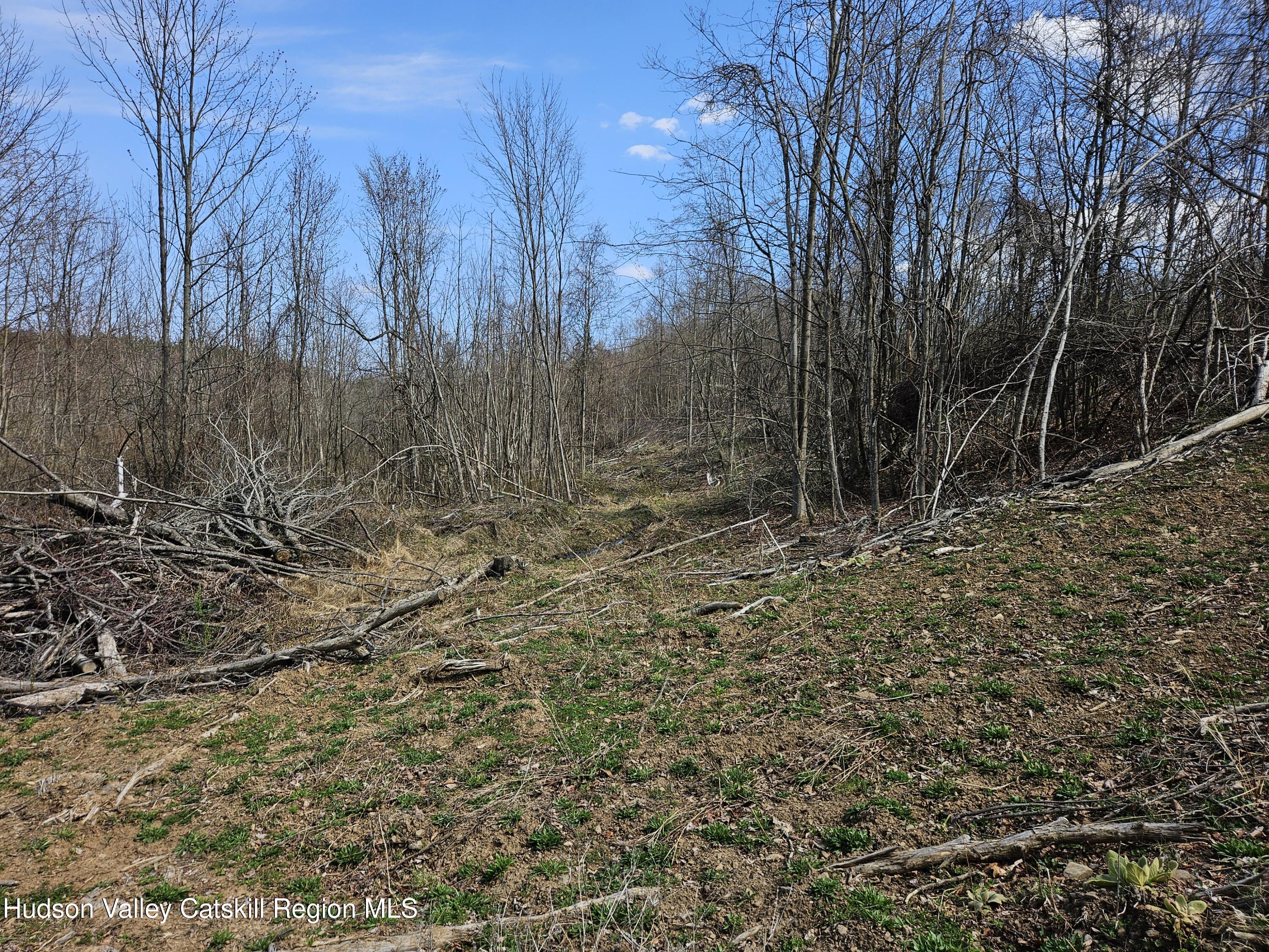 295 Shellstone Road Amsterdam, NY 12010 - Photo 33 of 98 20250424_143528