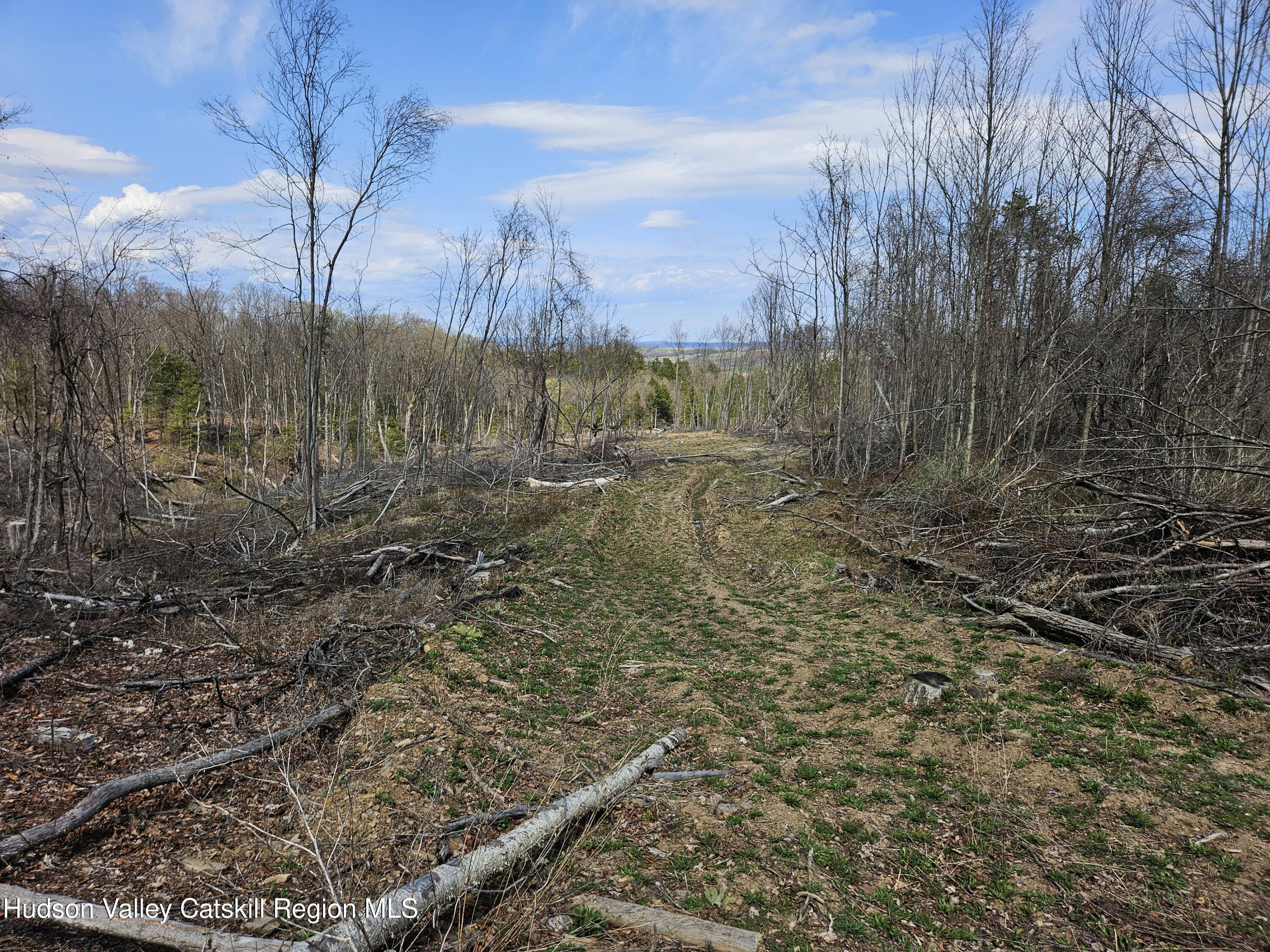 295 Shellstone Road Amsterdam, NY 12010 - Photo 34 of 98 20250424_143532