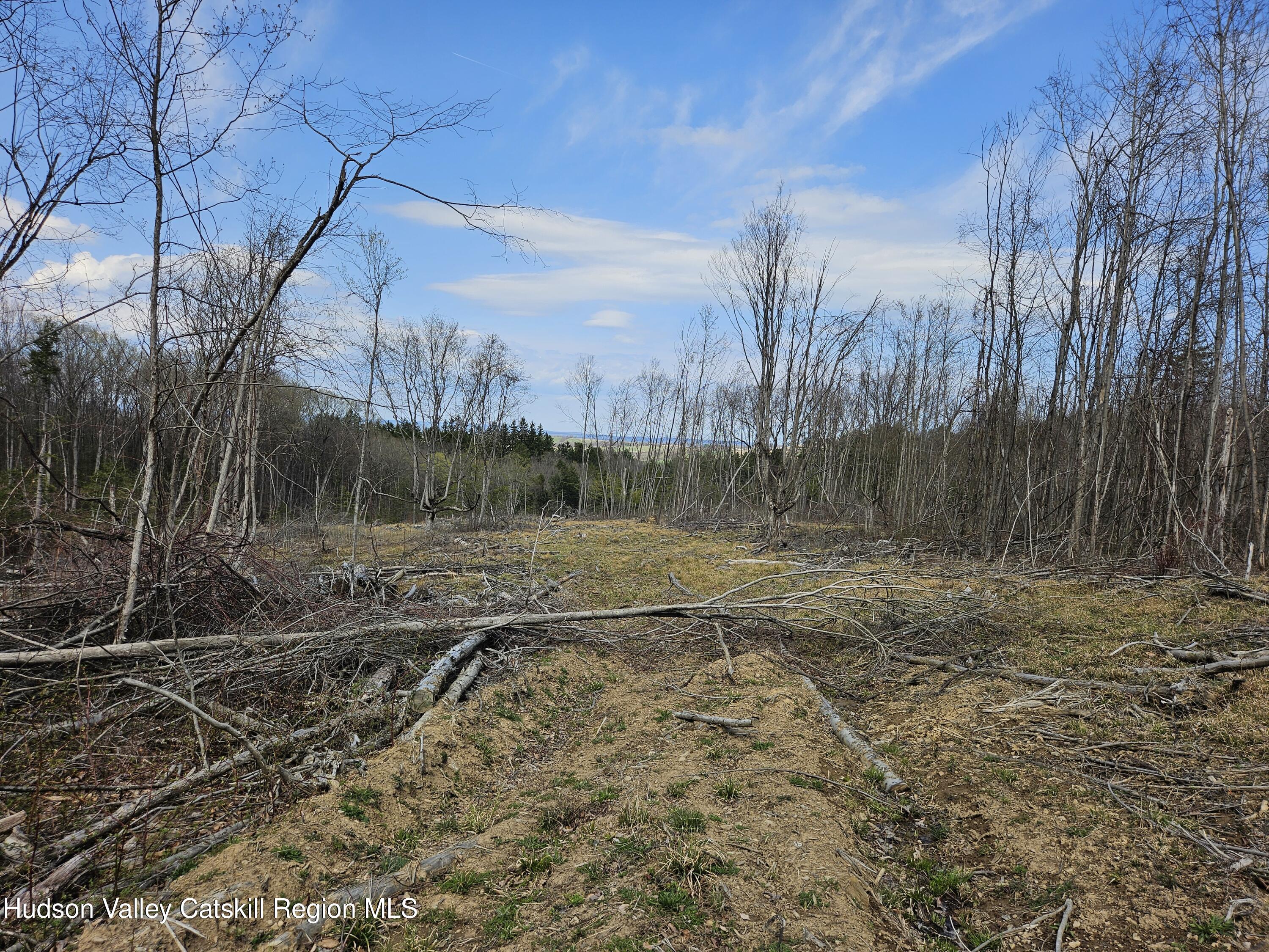 295 Shellstone Road Amsterdam, NY 12010 - Photo 34 of 98 20250424_143627