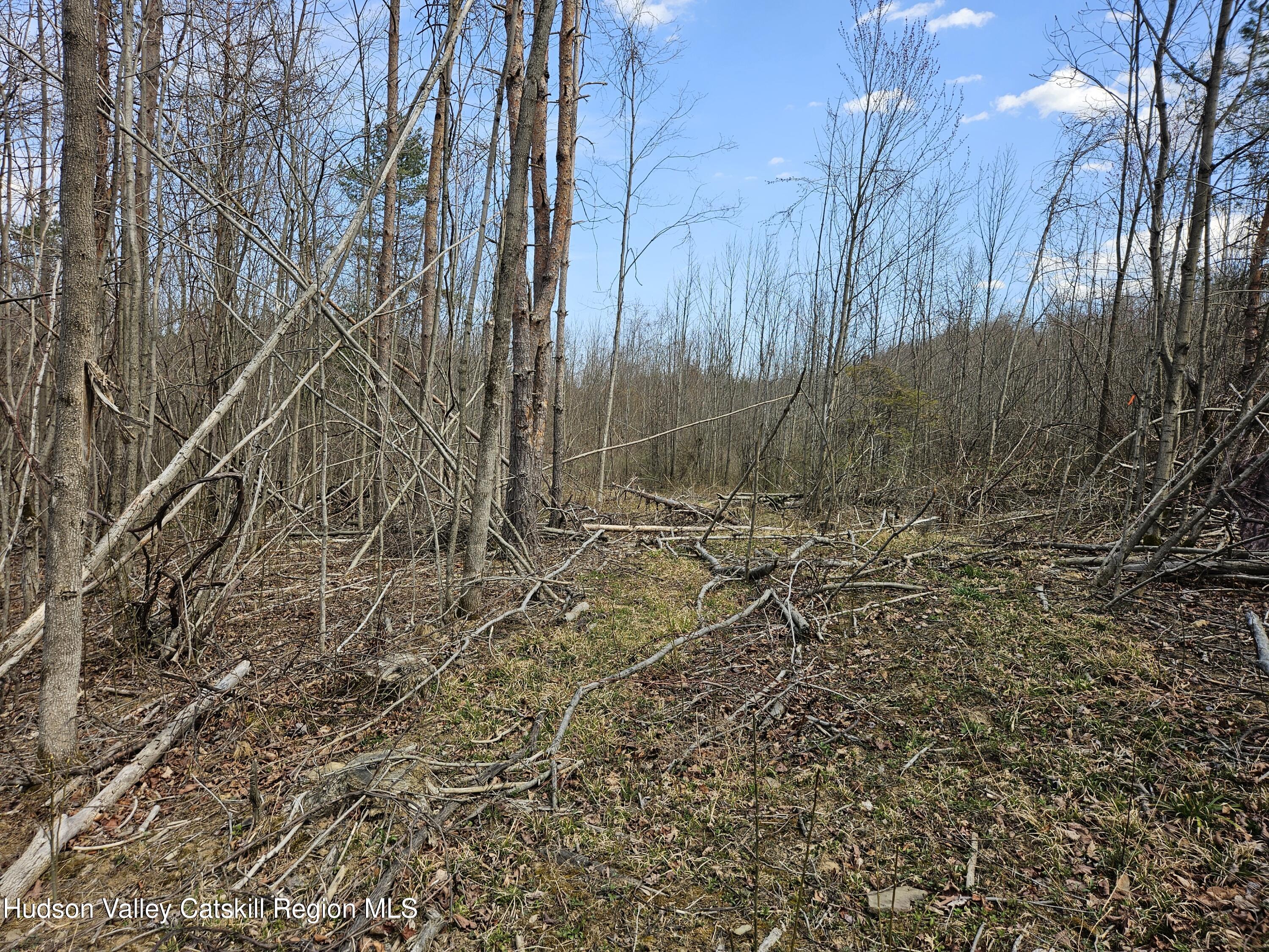 295 Shellstone Road Amsterdam, NY 12010 - Photo 36 of 98 20250424_143648