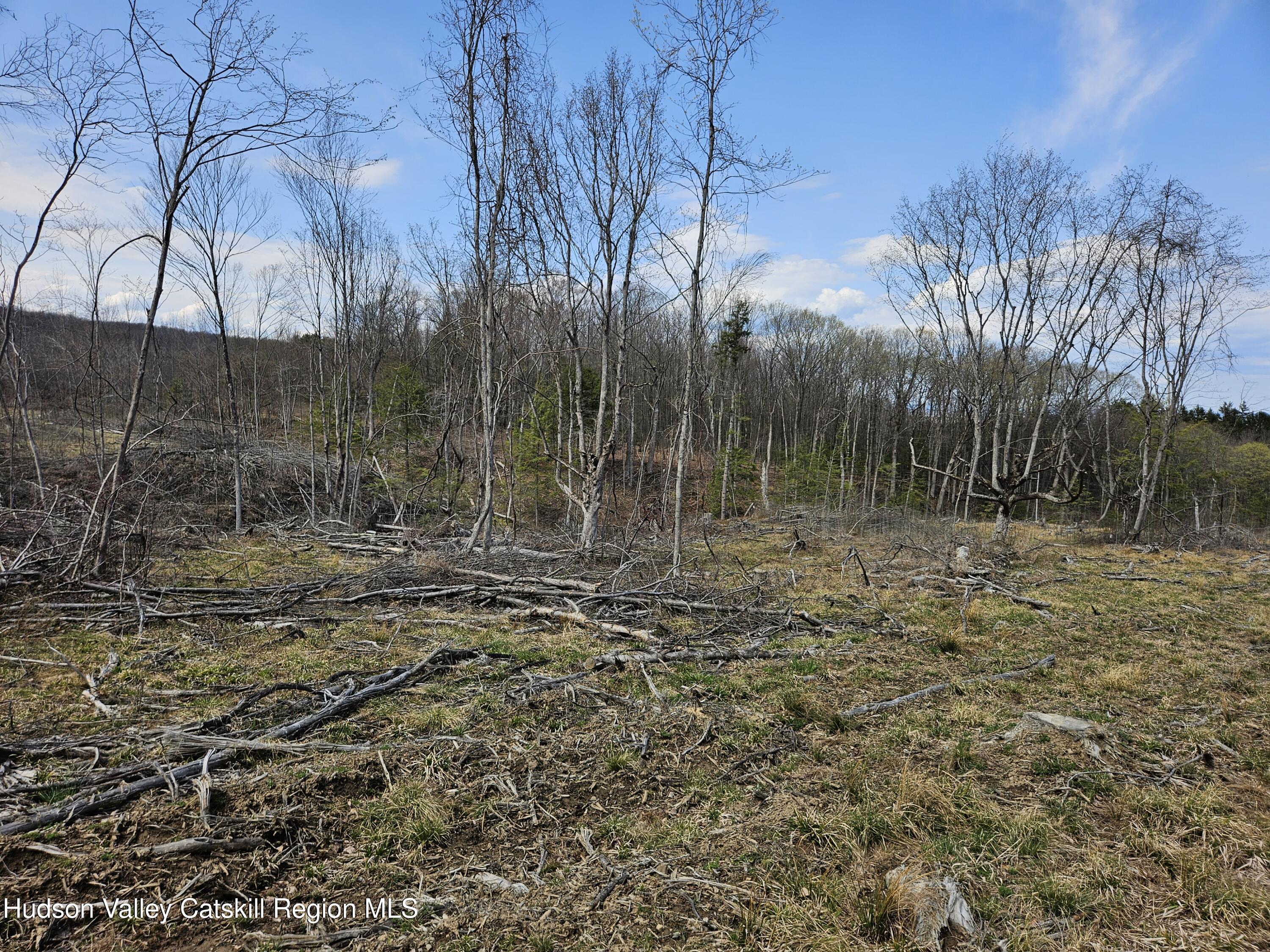 295 Shellstone Road Amsterdam, NY 12010 - Photo 37 of 98 20250424_143709