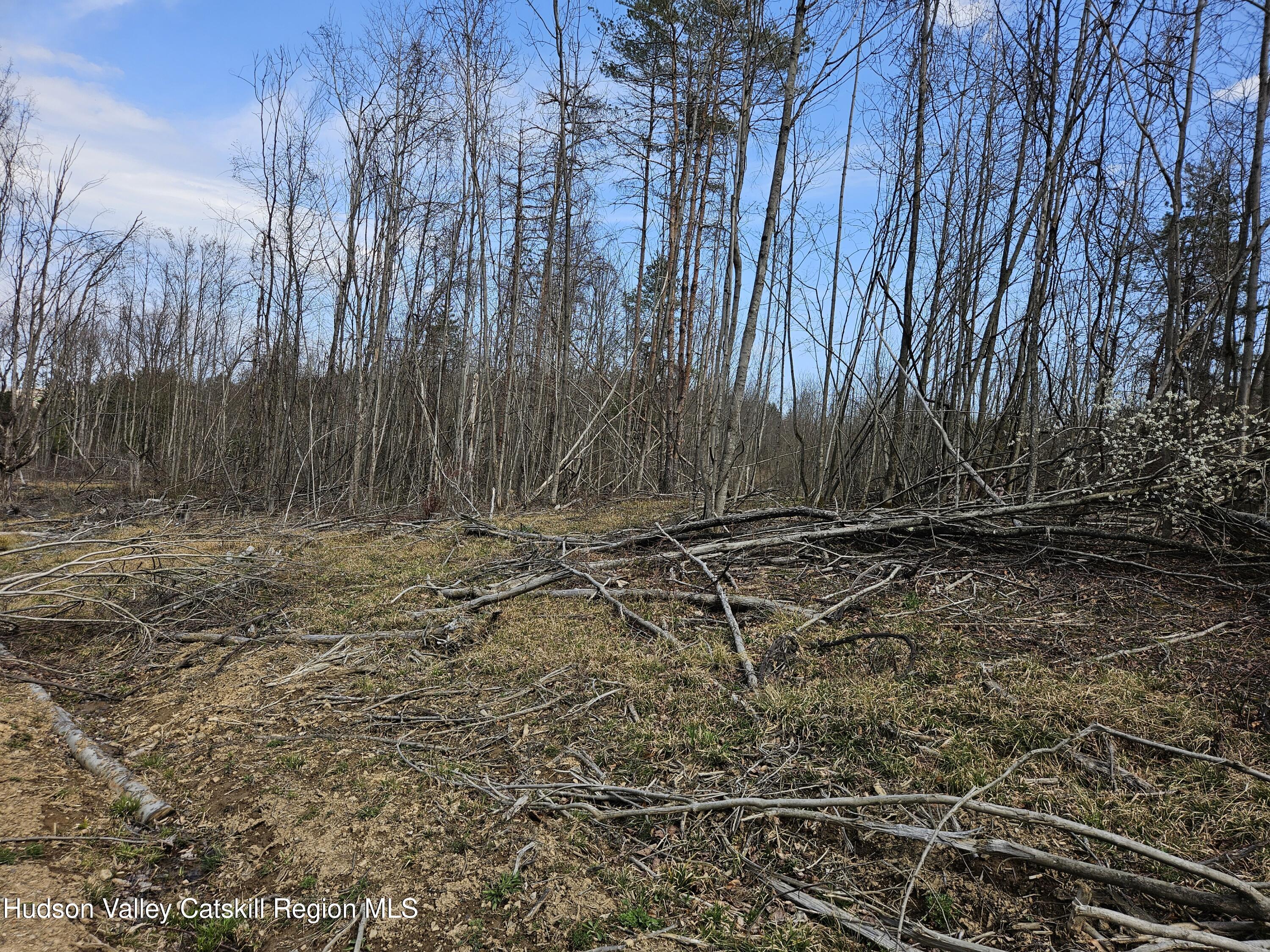 295 Shellstone Road Amsterdam, NY 12010 - Photo 37 of 98 20250424_143629