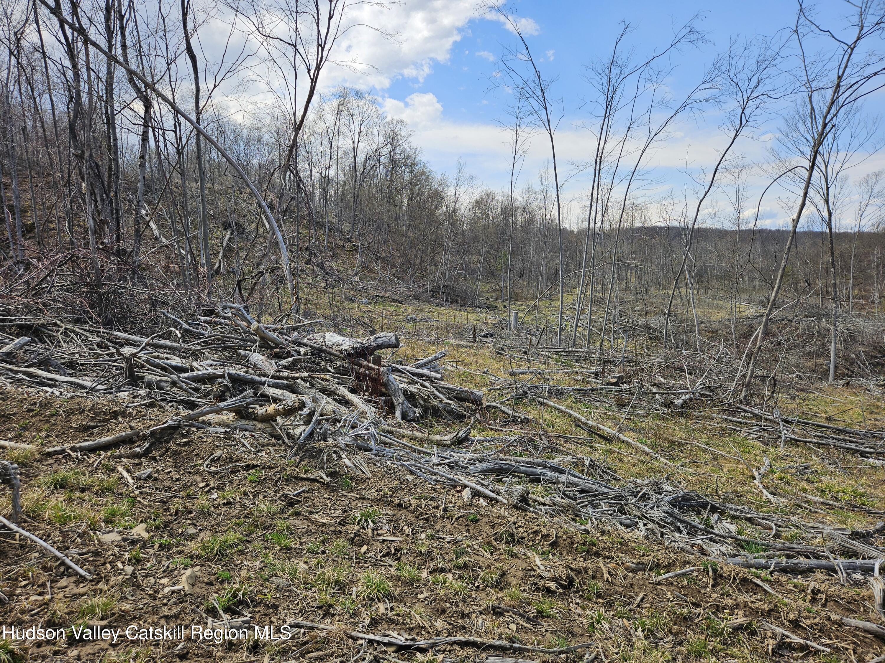295 Shellstone Road Amsterdam, NY 12010 - Photo 39 of 98 20250424_143712
